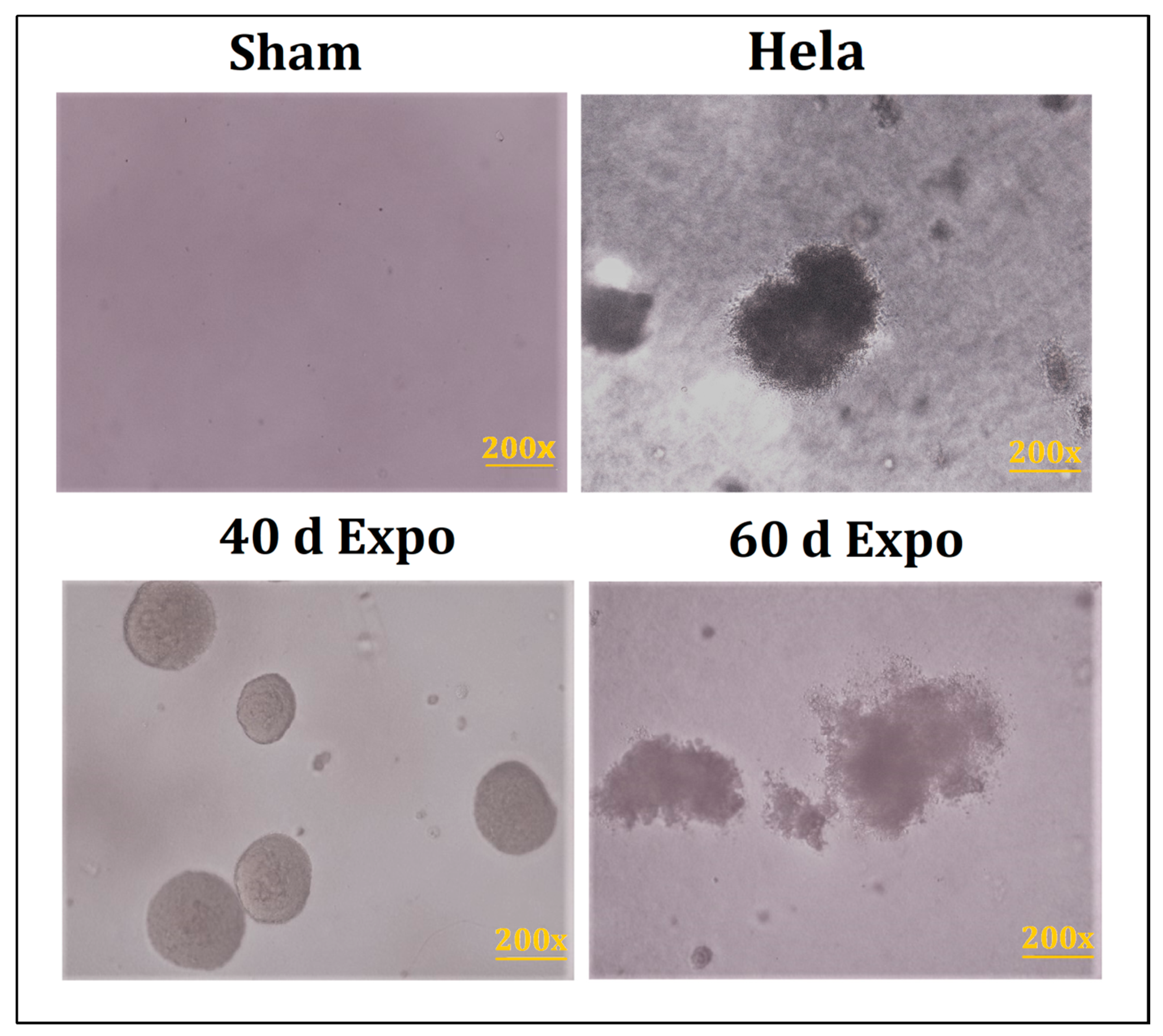 Bioengineering 09 00043 g005 Bioengineering 09 00043 g005