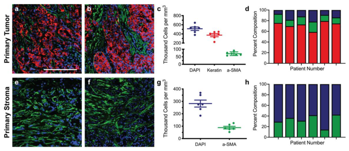 Bioengineering 09 00044 g001