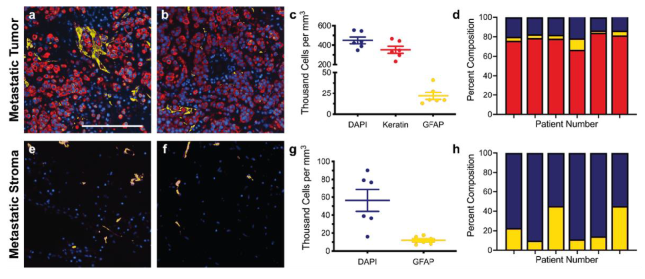 Bioengineering 09 00044 g002
