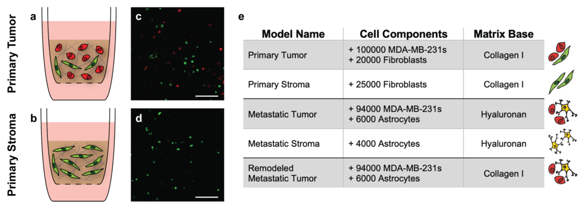 Bioengineering 09 00044 g004
