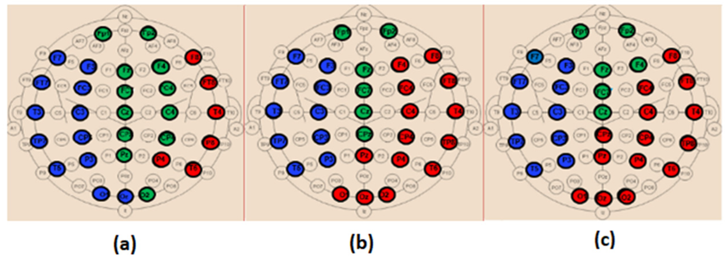 Bioengineering 09 00062 g013
