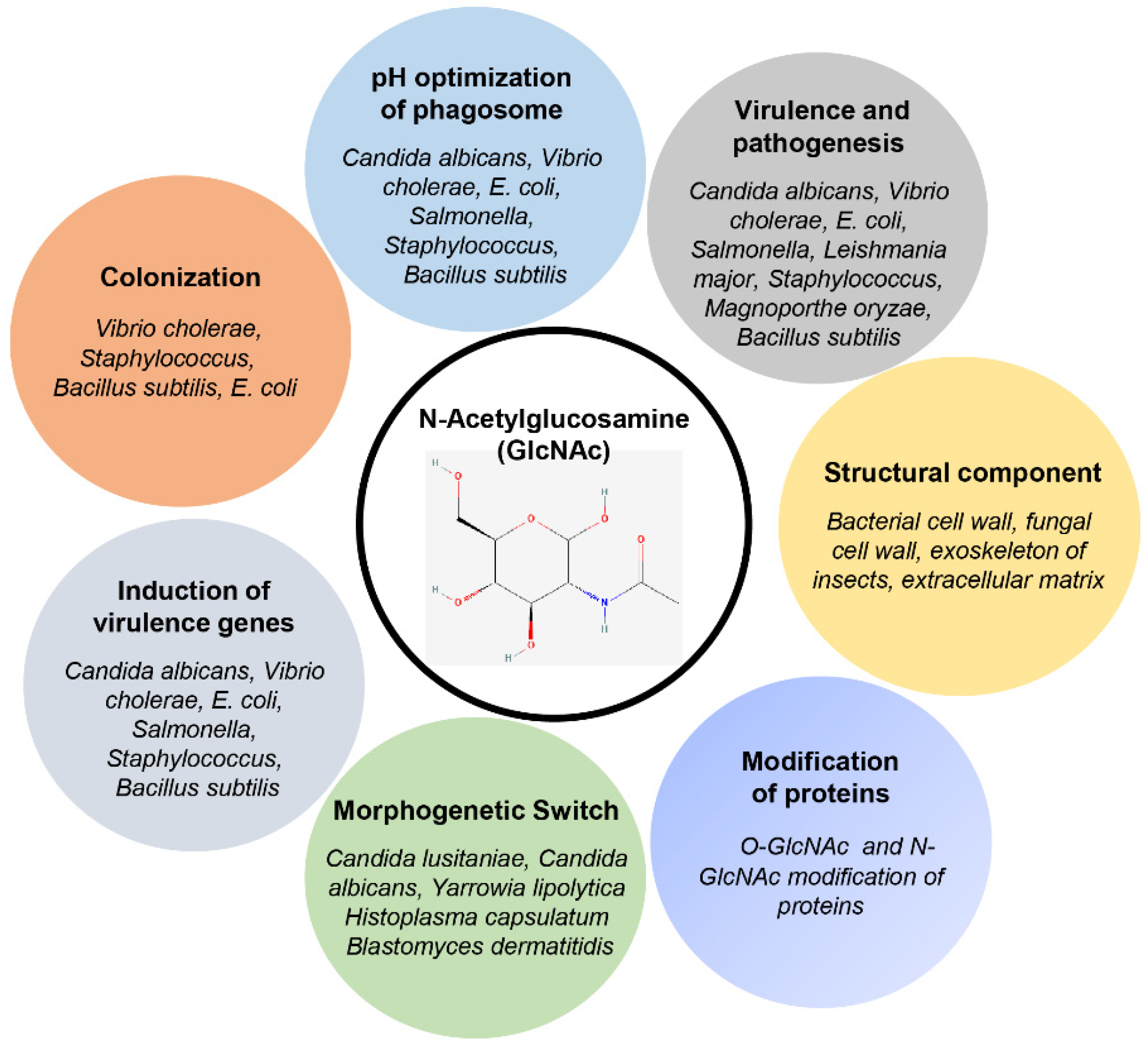 Bioengineering 09 00064 g001