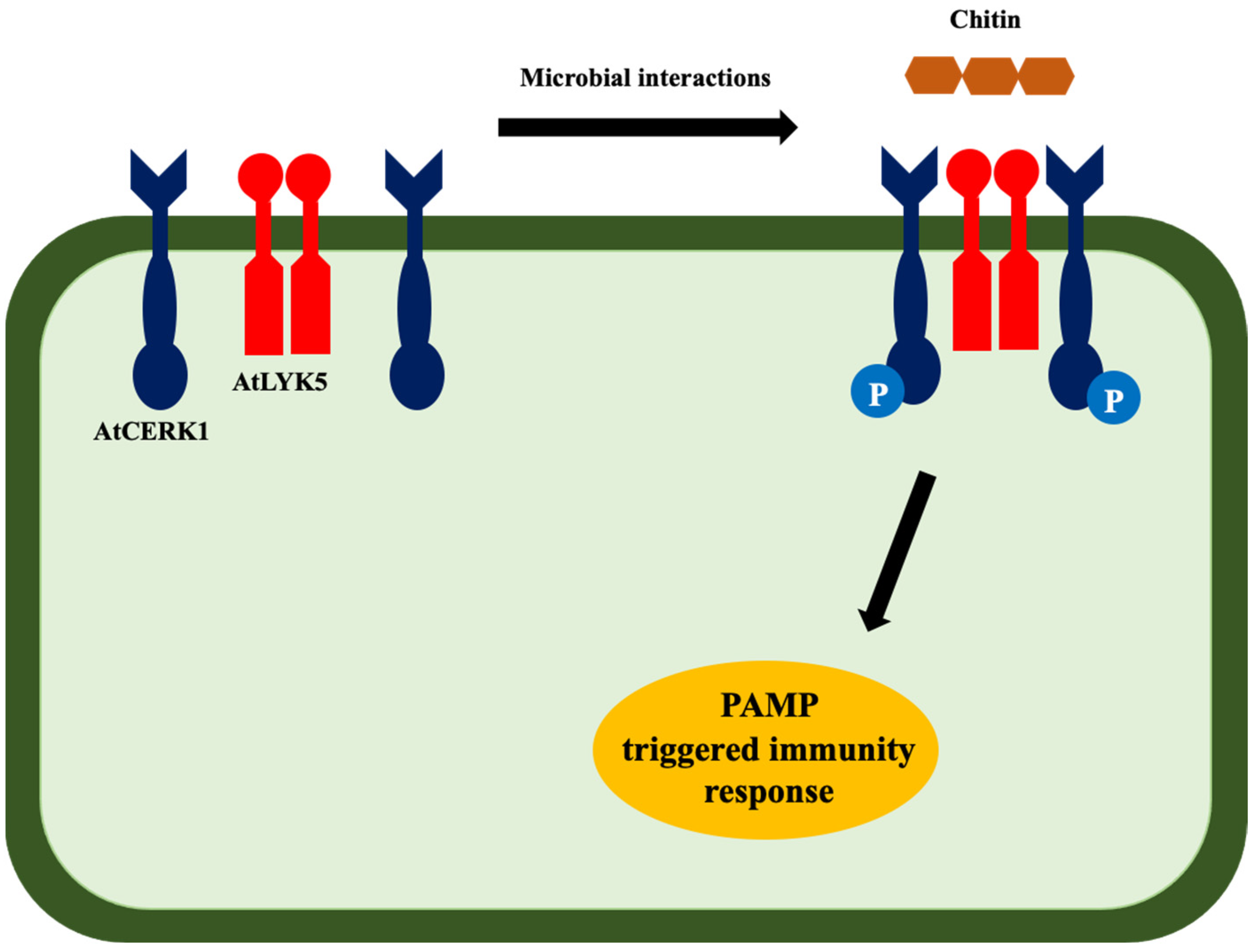 Bioengineering 09 00064 g004