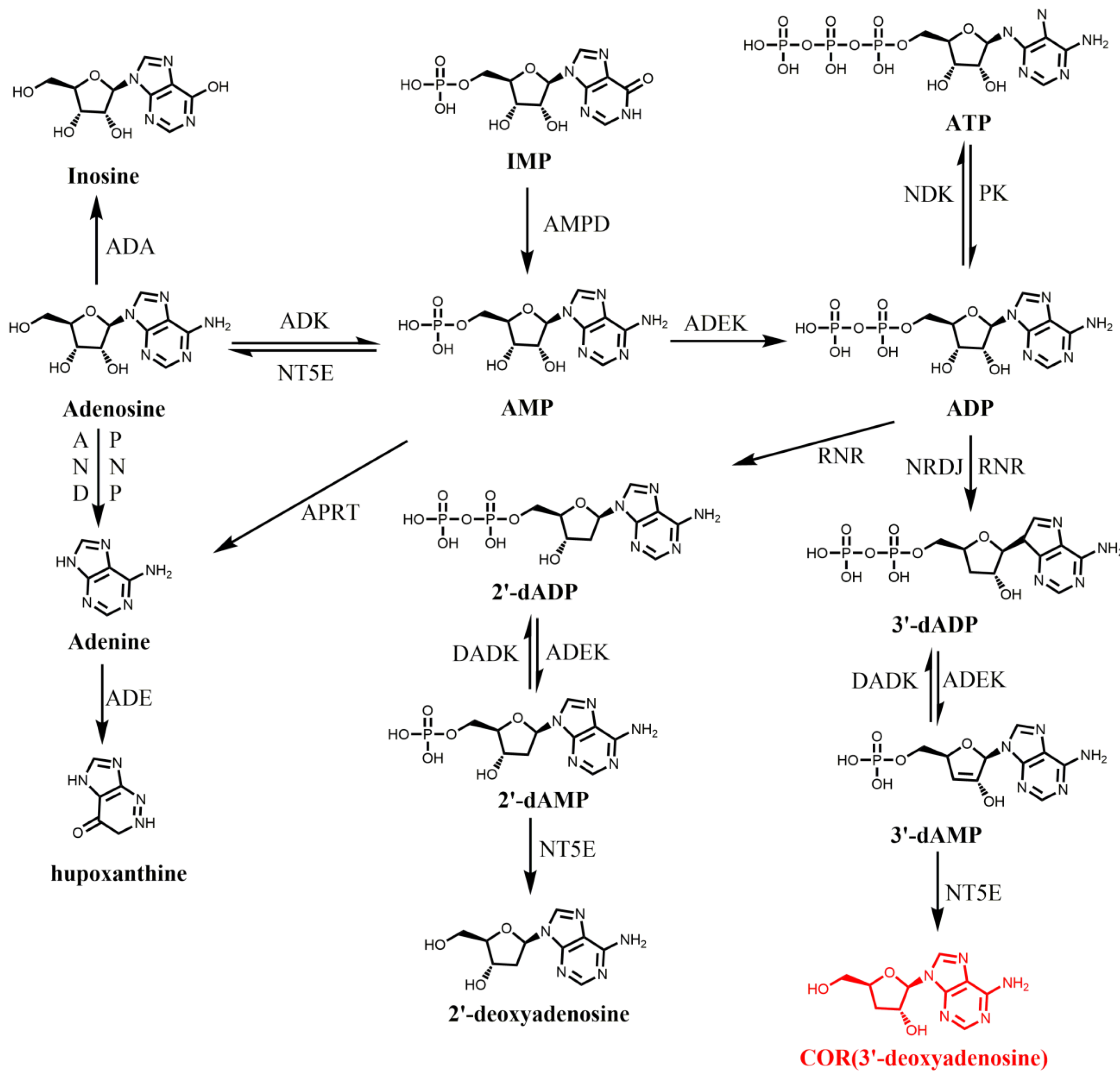 Bioengineering 09 00069 g001