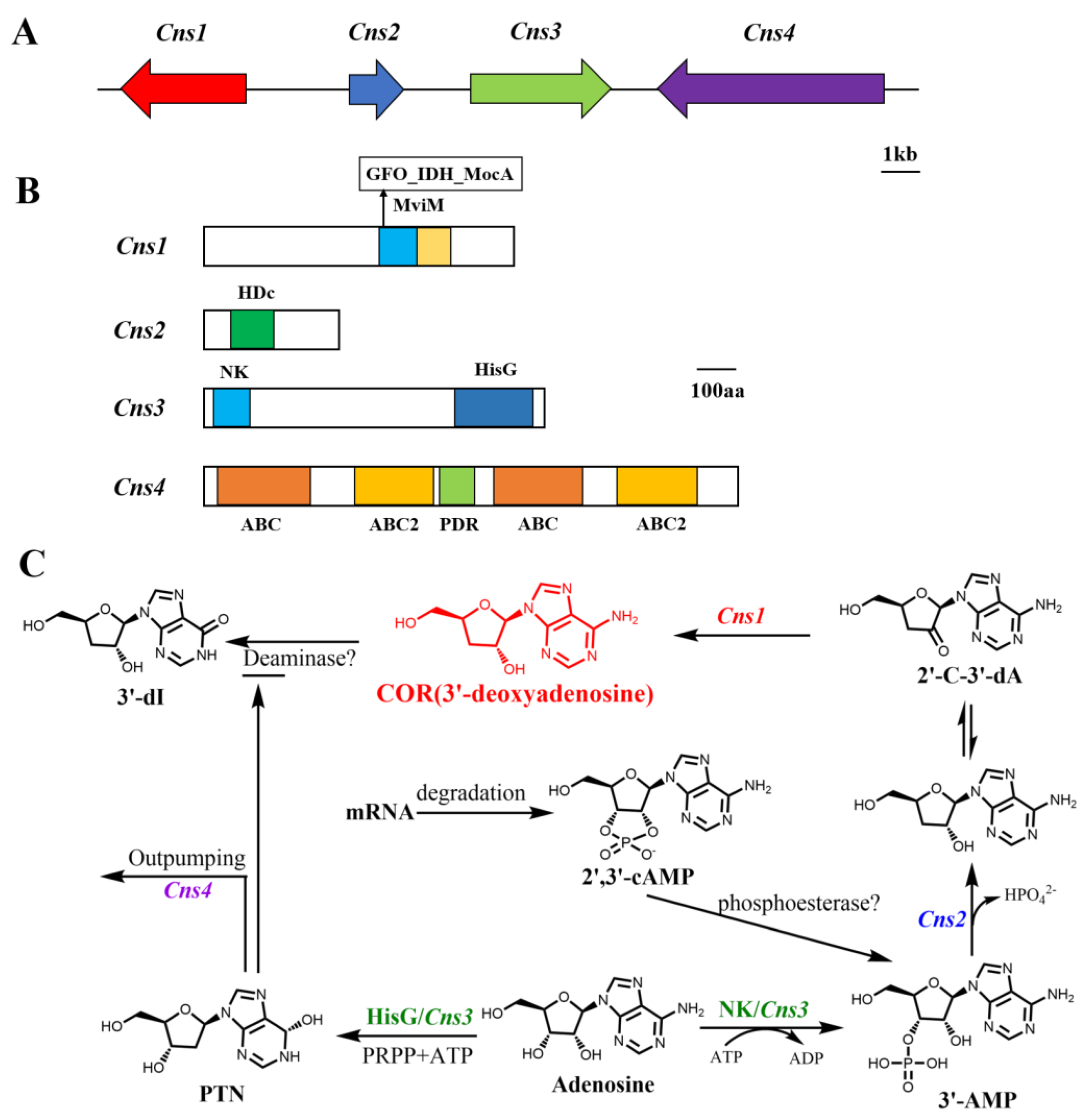 Bioengineering 09 00069 g002
