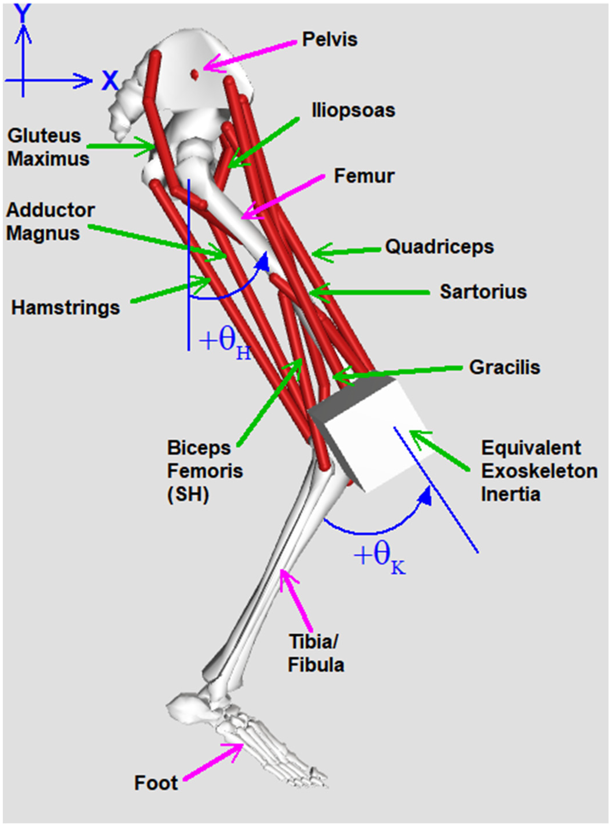 Bioengineering 09 00071 g001