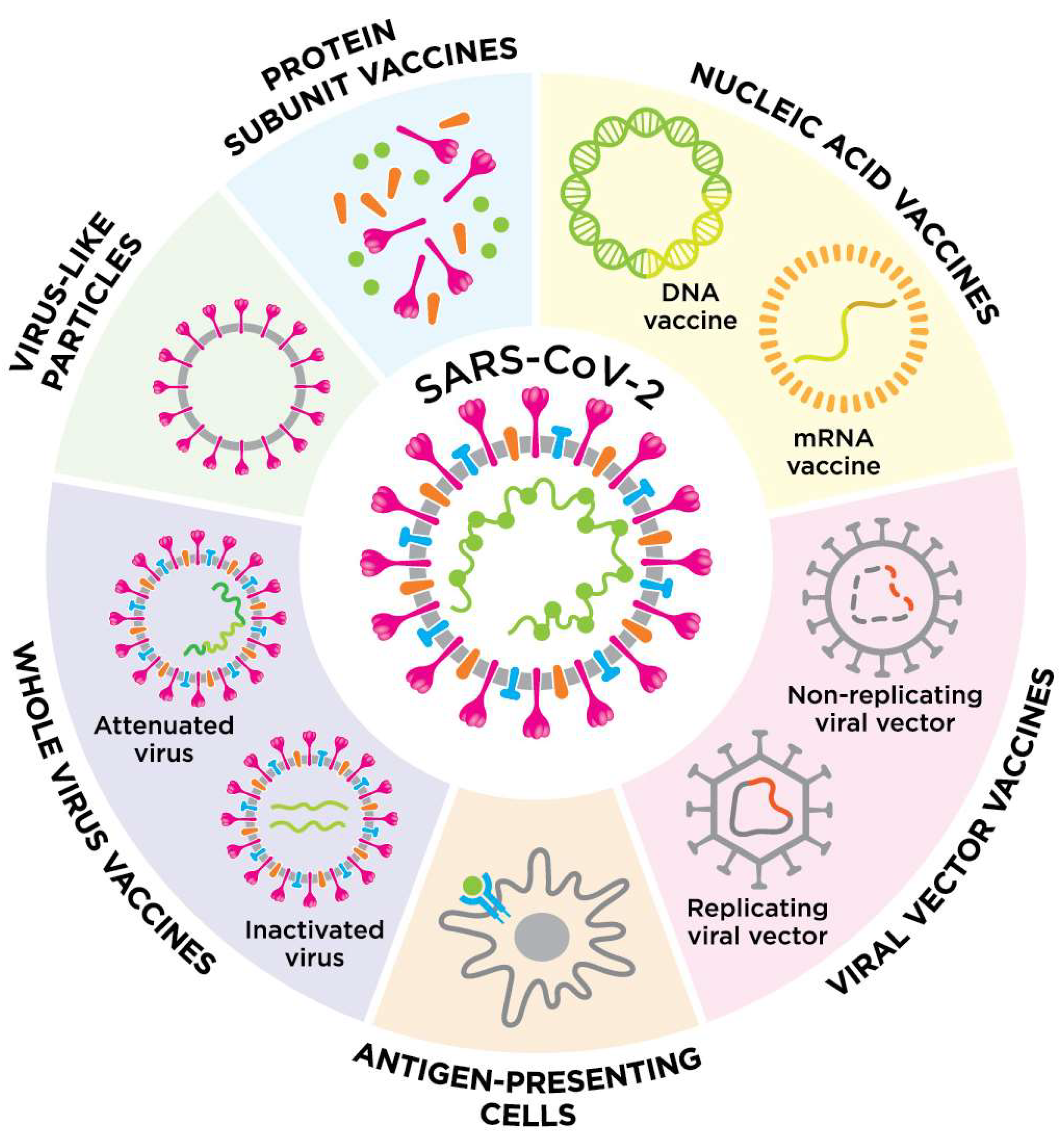 Bioengineering 09 00072 g002
