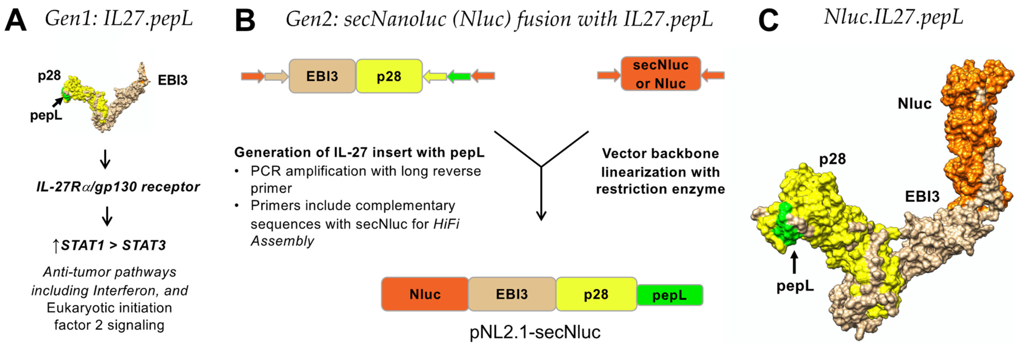 Bioengineering 09 00077 g001