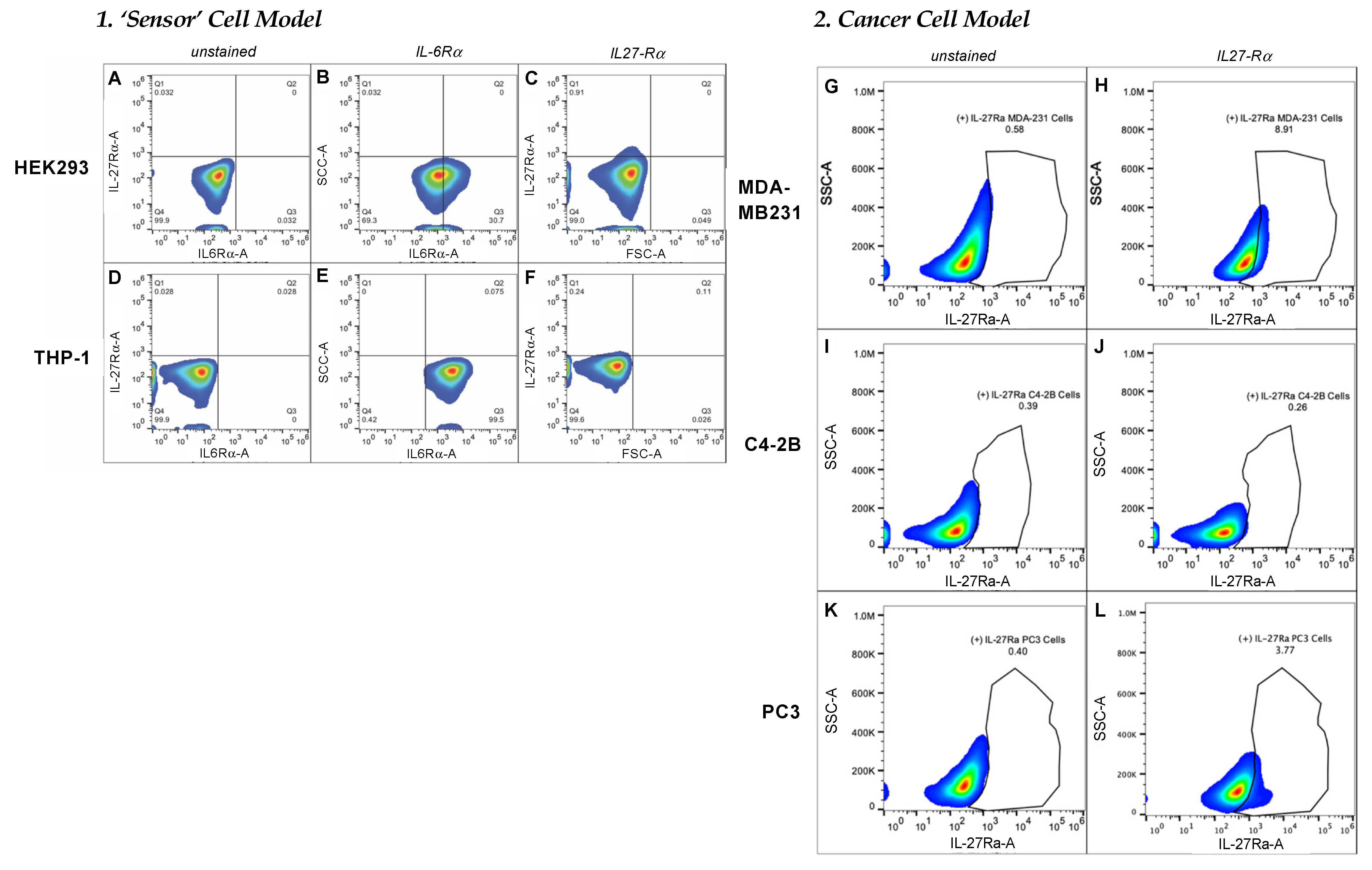 Bioengineering 09 00077 g004