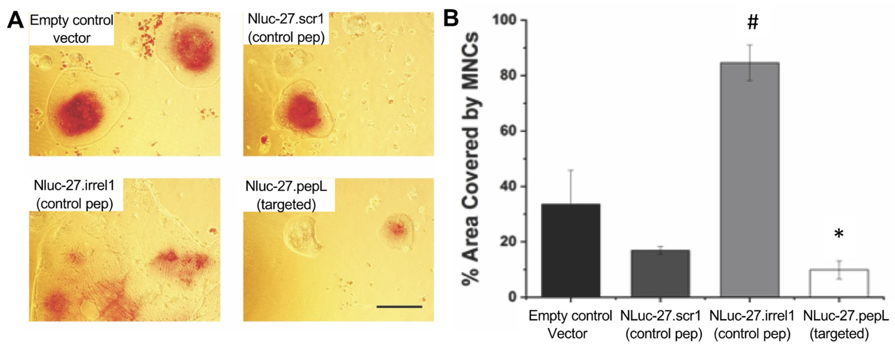 Bioengineering 09 00077 g009
