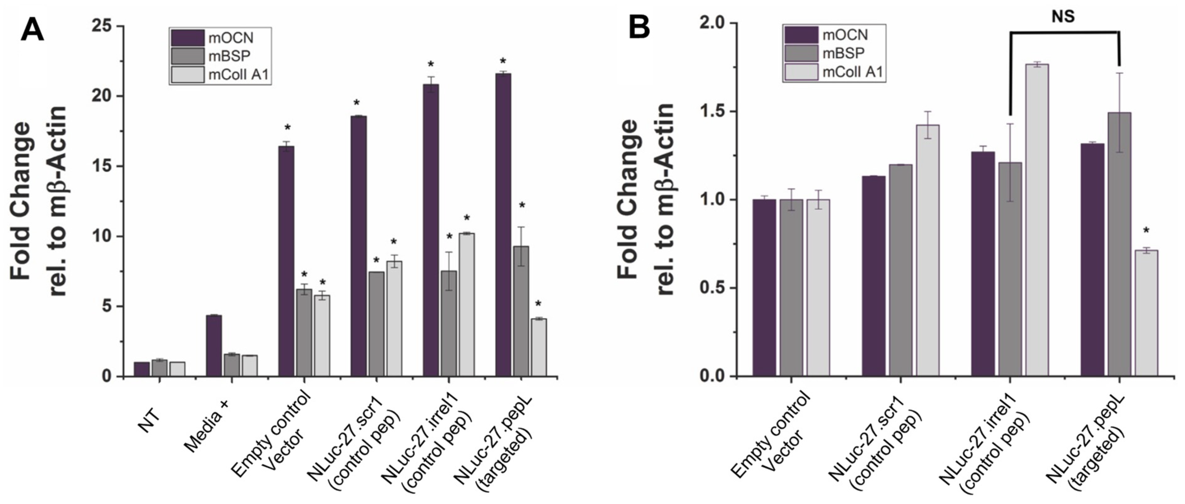 Bioengineering 09 00077 g010