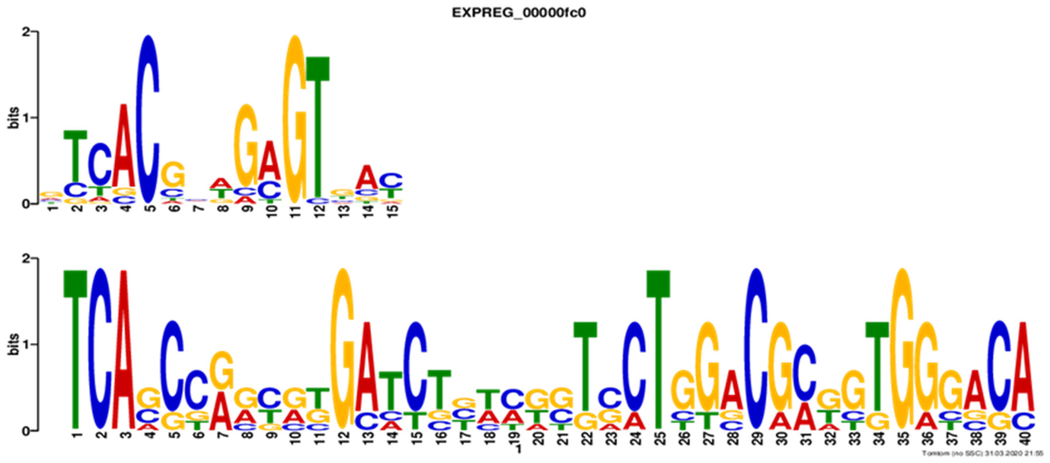 Bioengineering 09 00078 g006