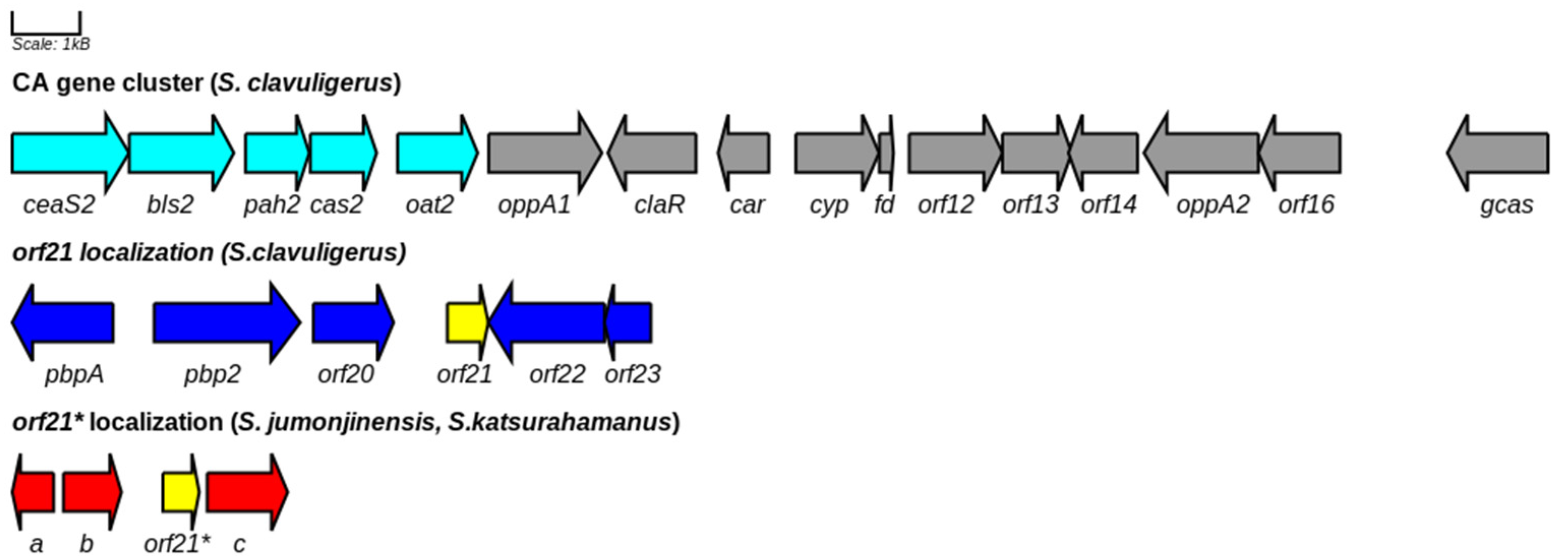 Bioengineering 09 00078 g007