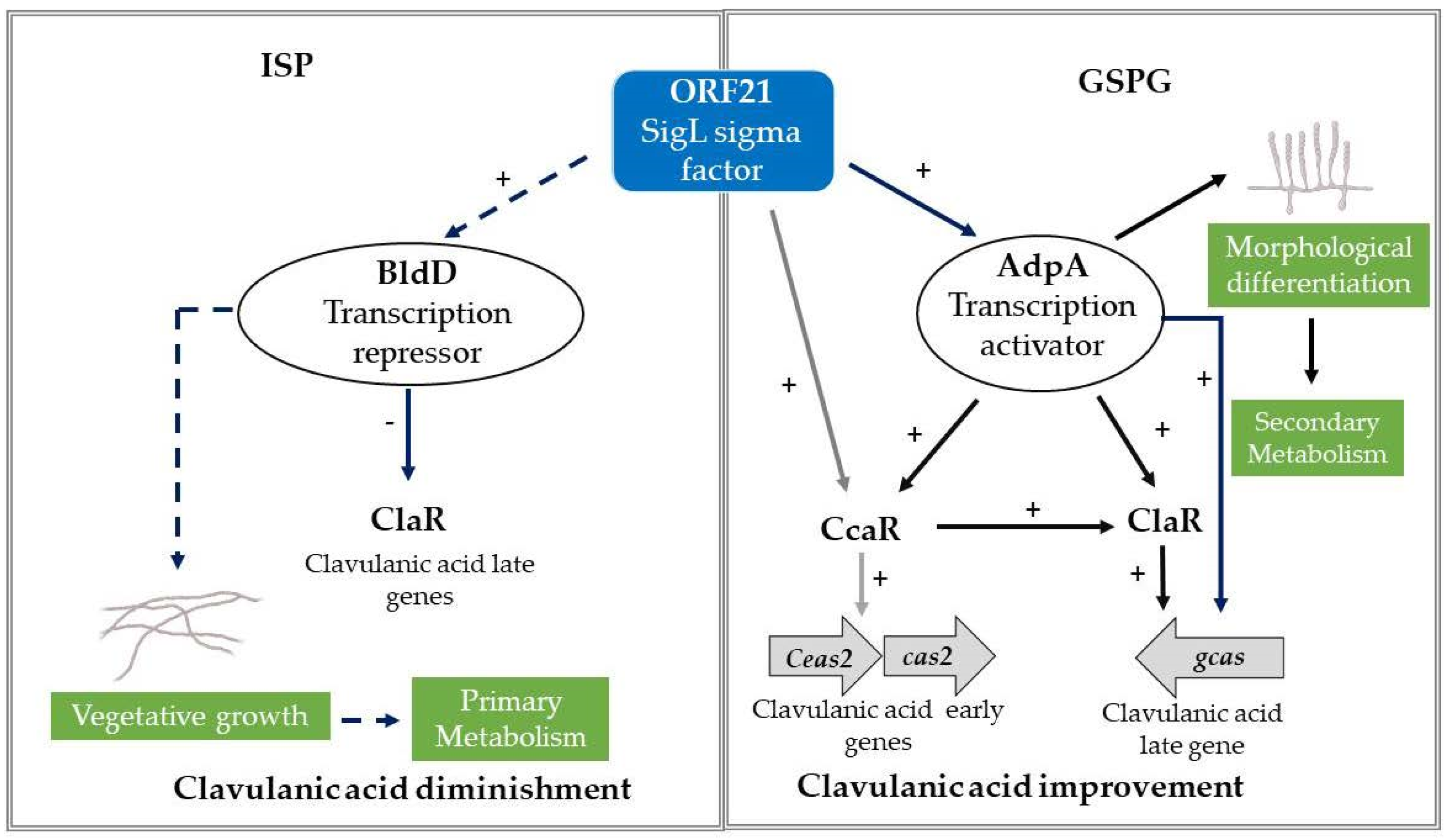 Bioengineering 09 00078 g008