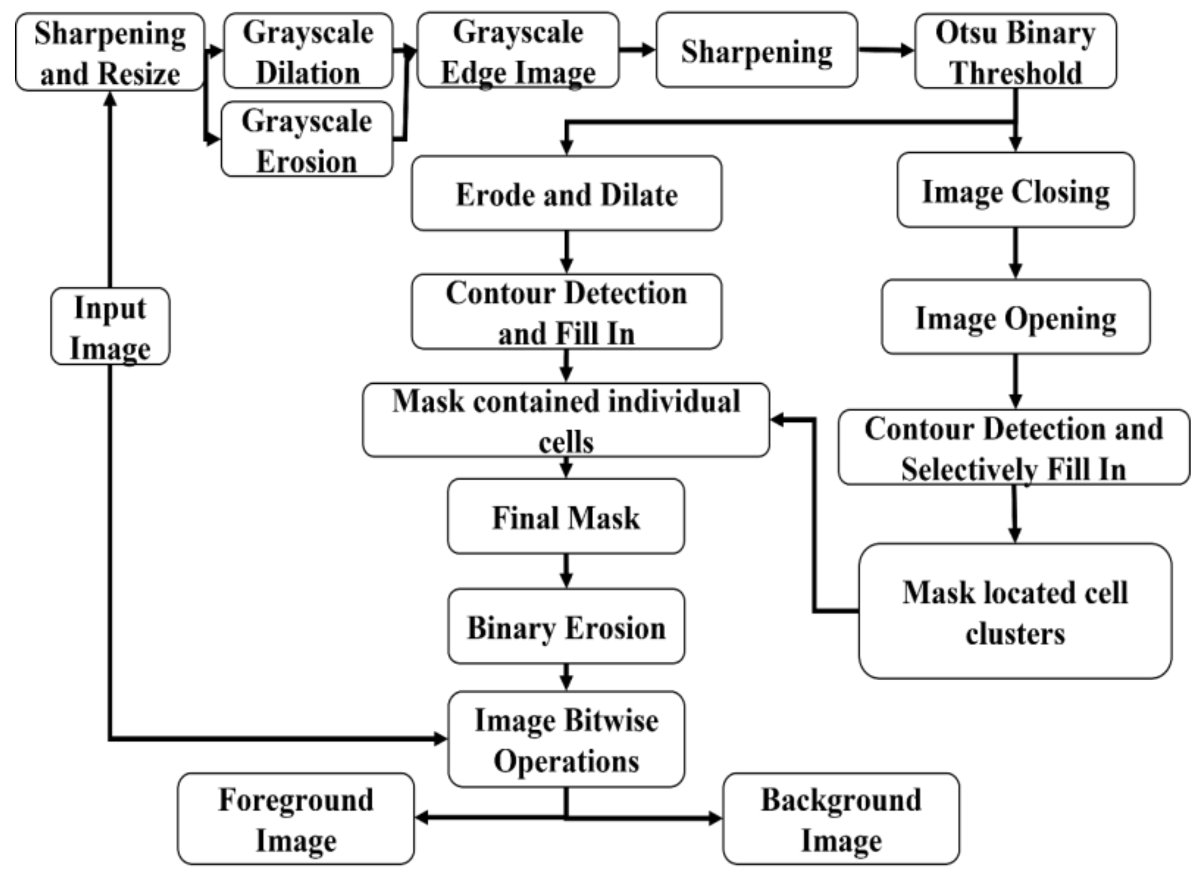 Bioengineering 09 00081 g001