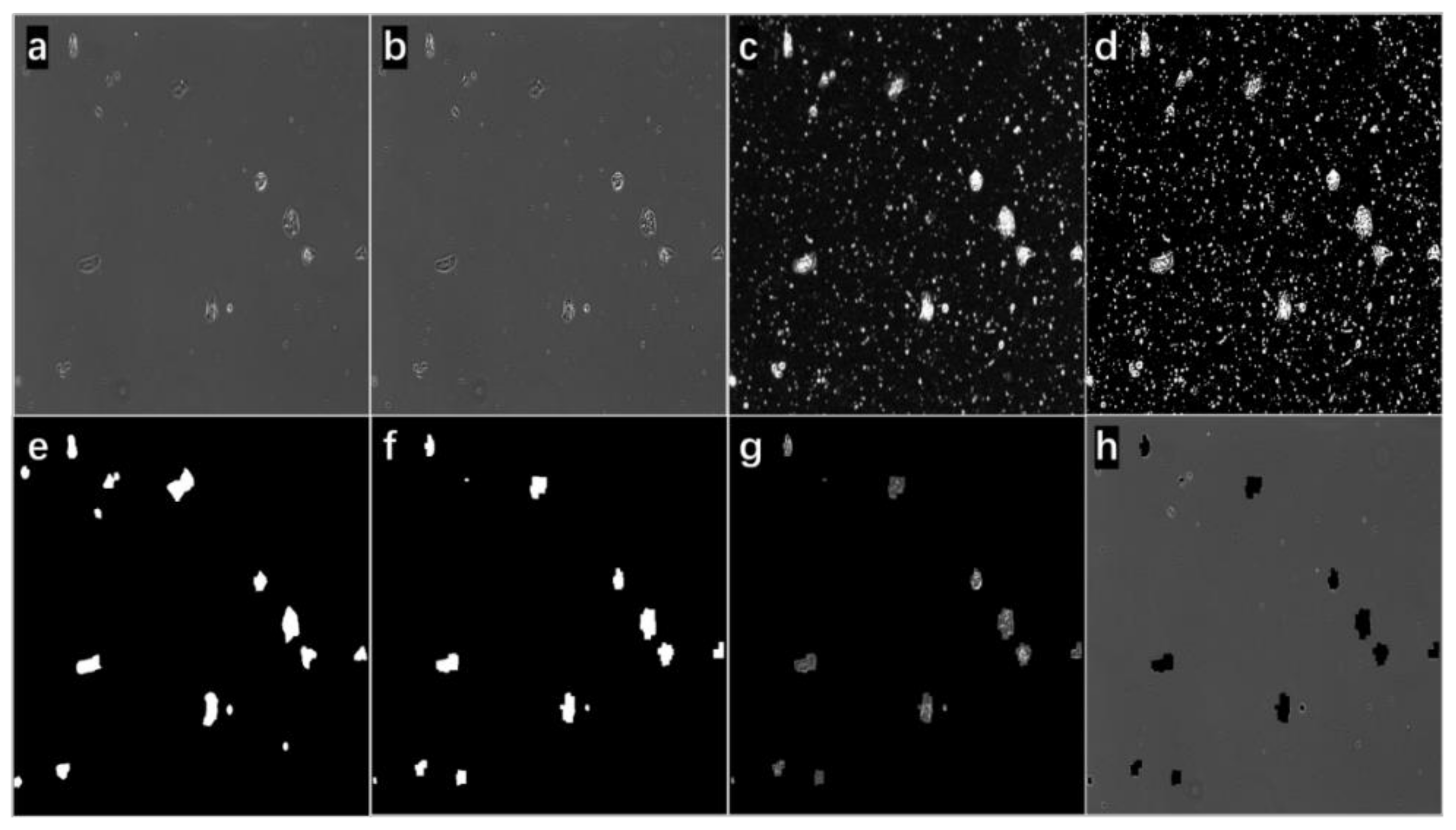 Bioengineering 09 00081 g003