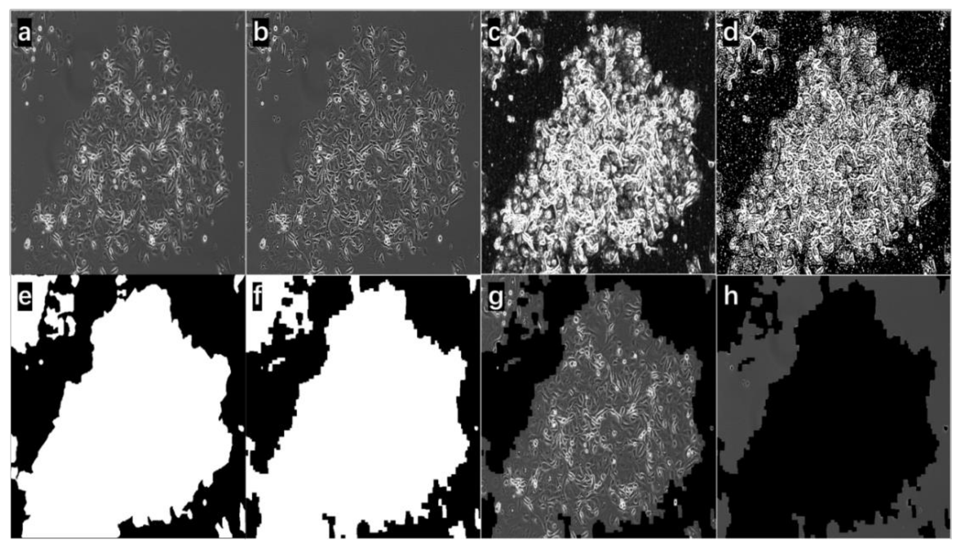 Bioengineering 09 00081 g004