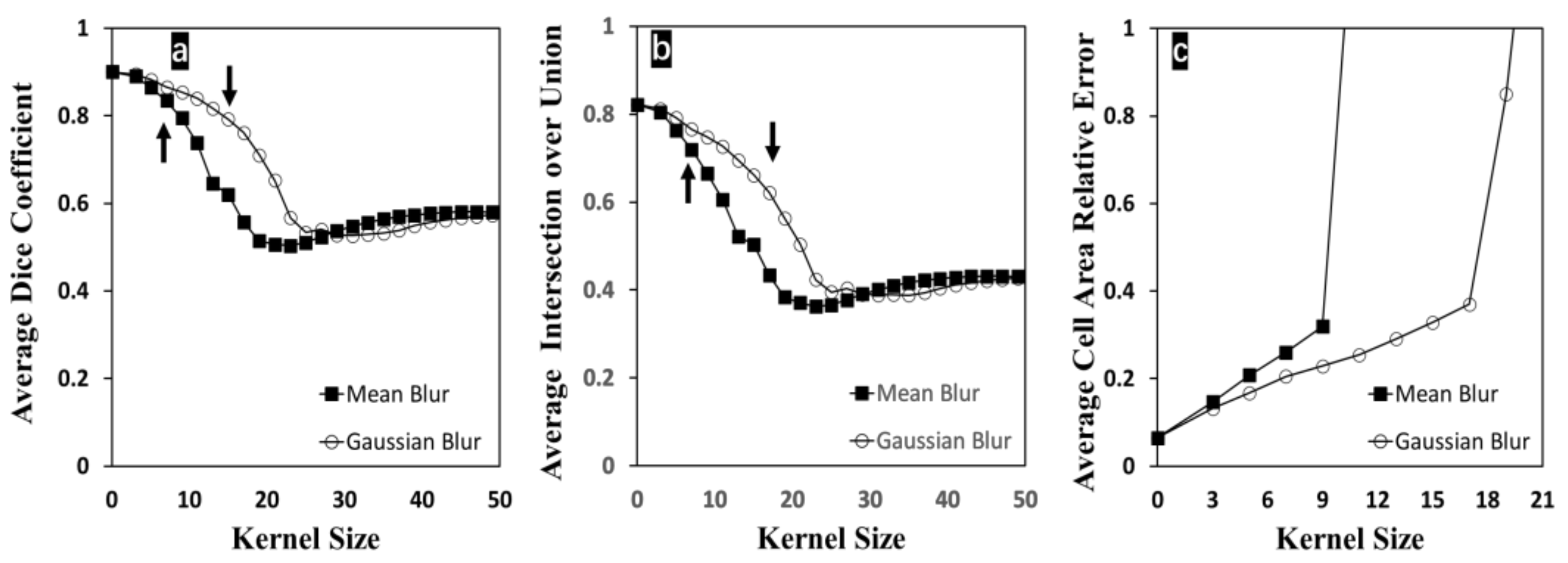 Bioengineering 09 00081 g005