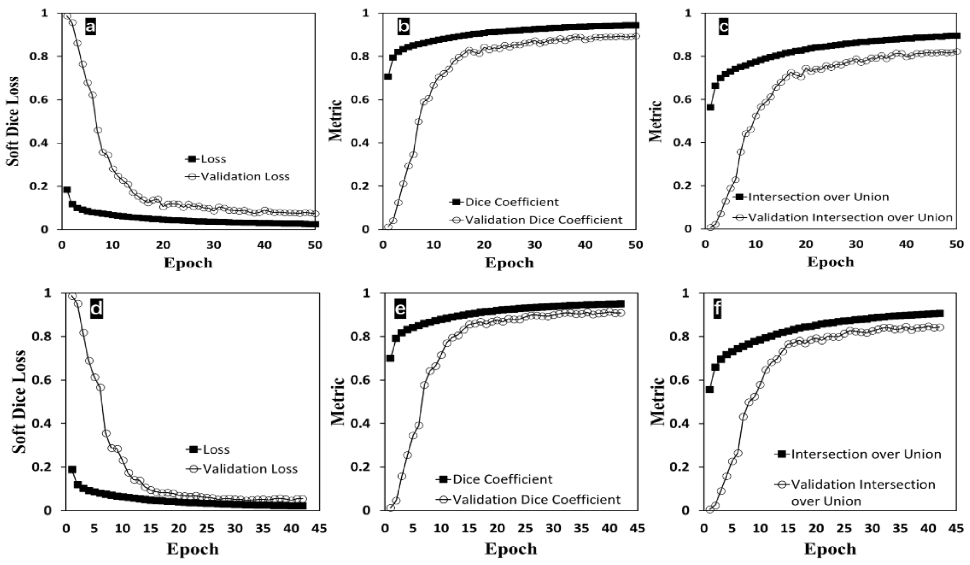 Bioengineering 09 00081 g008