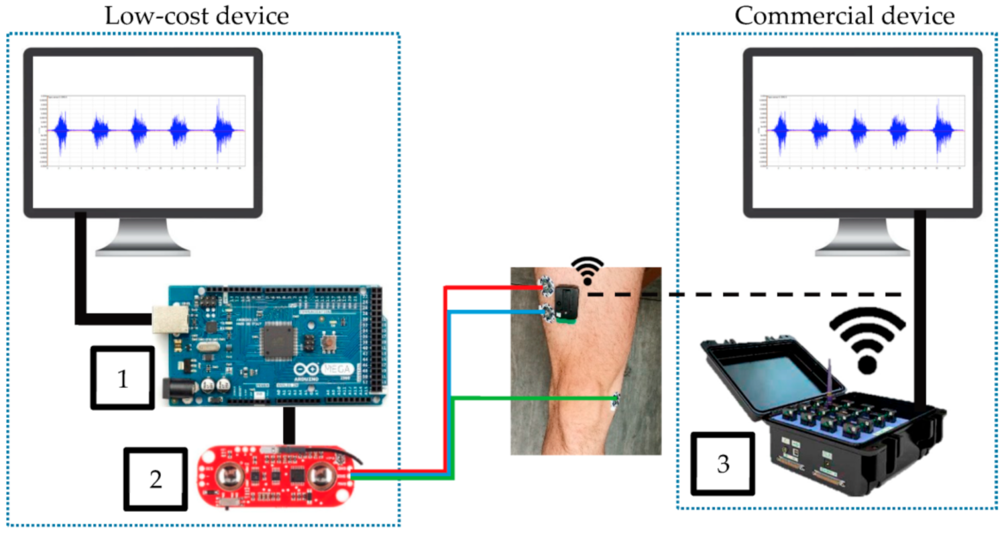 Bioengineering 09 00084 g005
