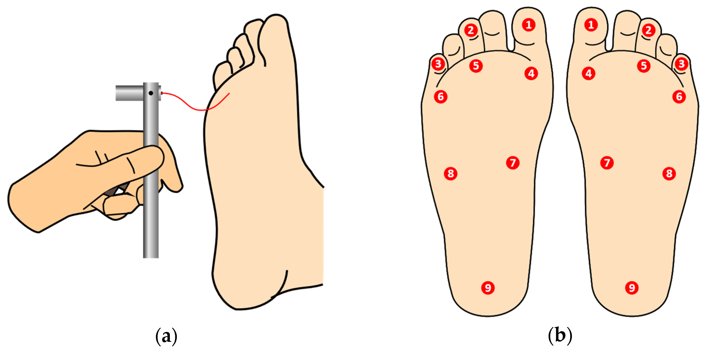Bioengineering 09 00086 g001
