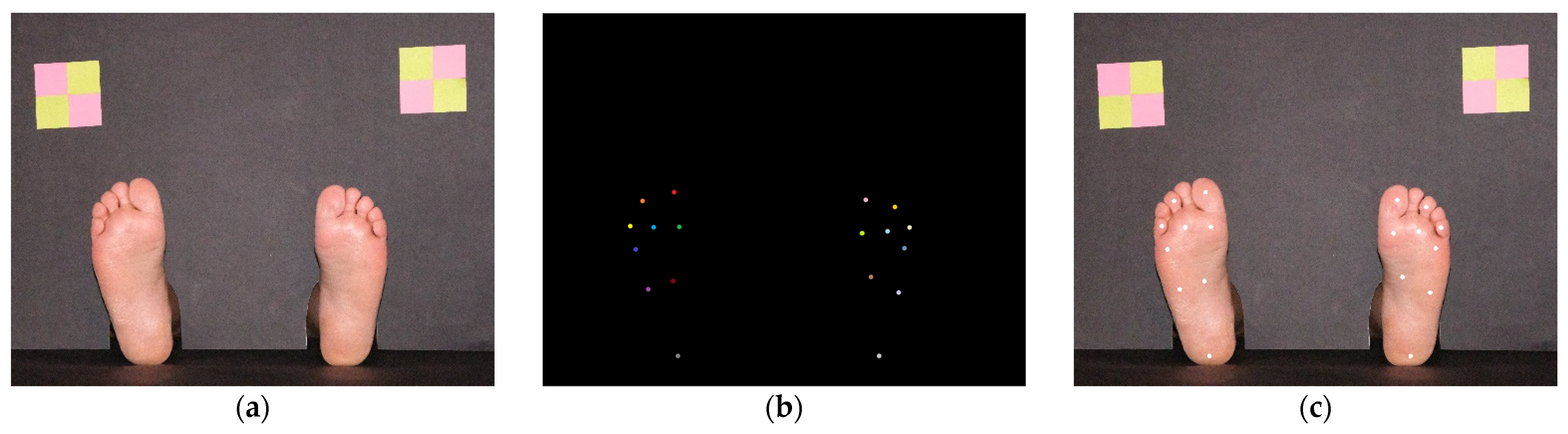 Bioengineering 09 00086 g002