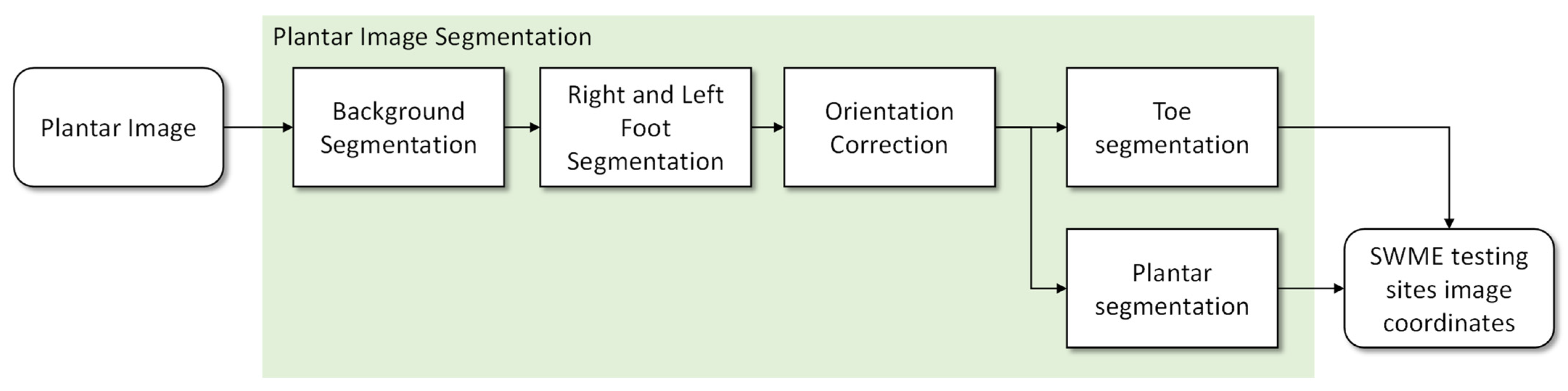 Bioengineering 09 00086 g003