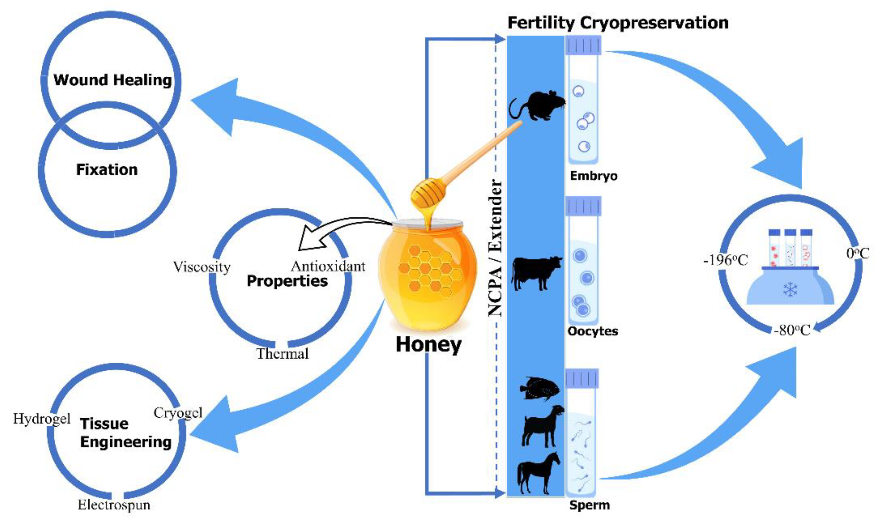 Bioengineering 09 00088 g001 Bioengineering 09 00088 g001