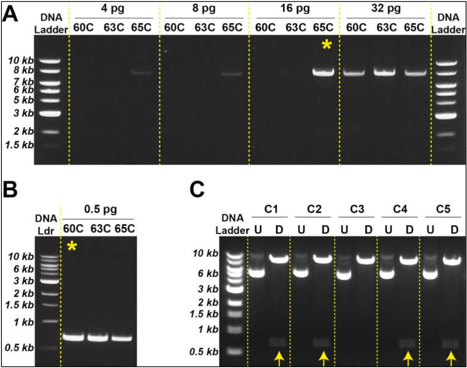 Bioengineering 09 00091 g002