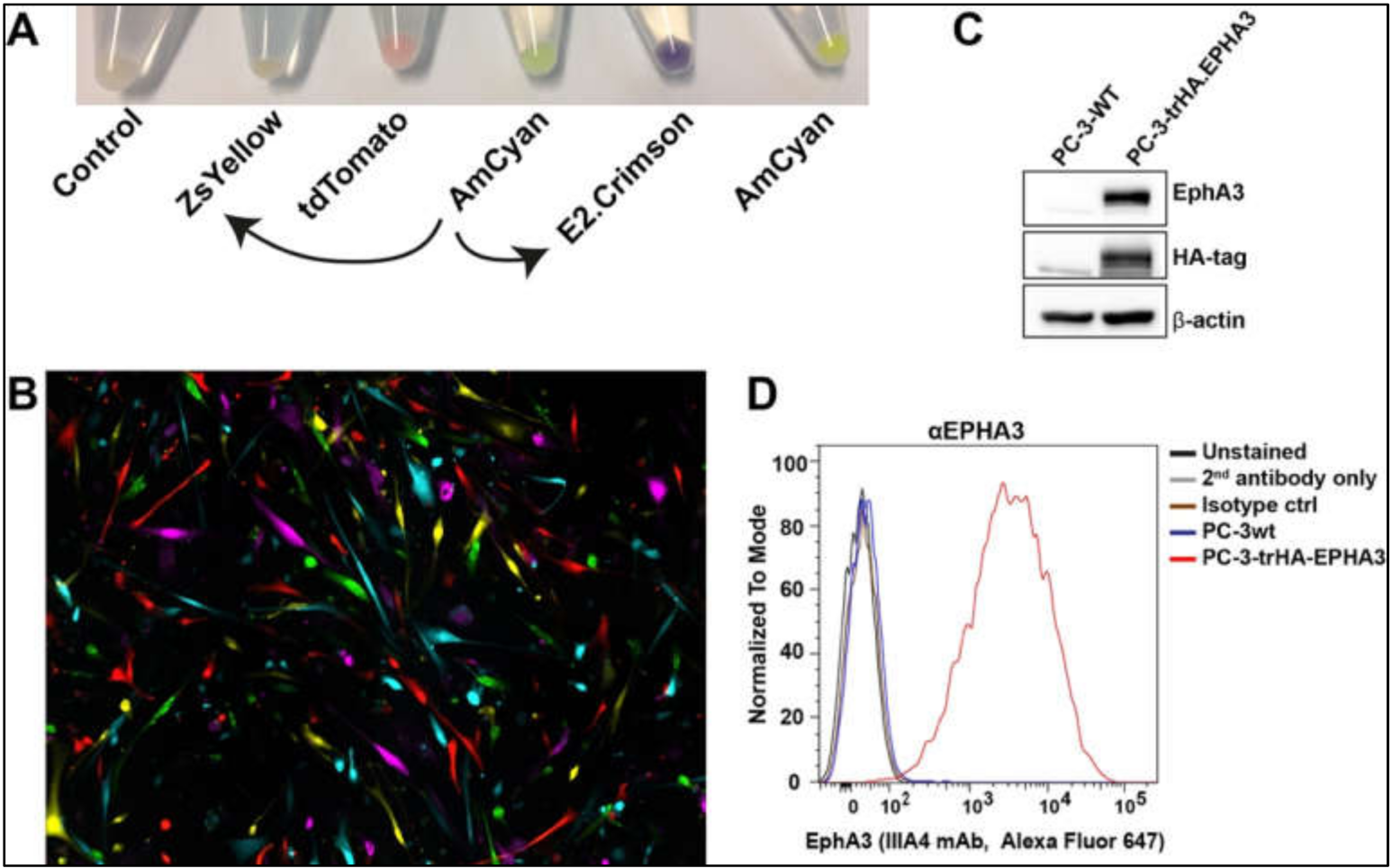 Bioengineering 09 00091 g005