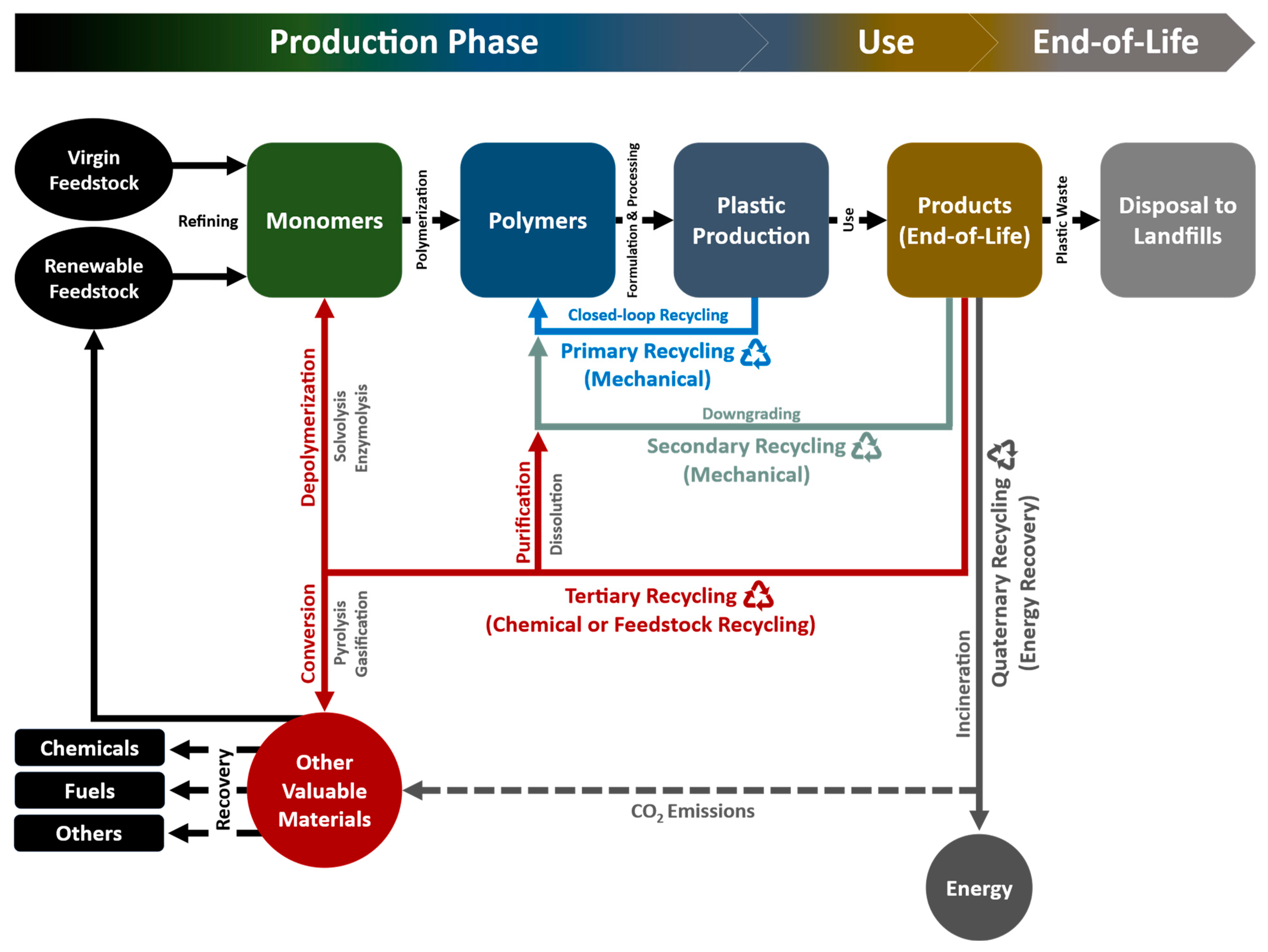 Bioengineering 09 00098 g002