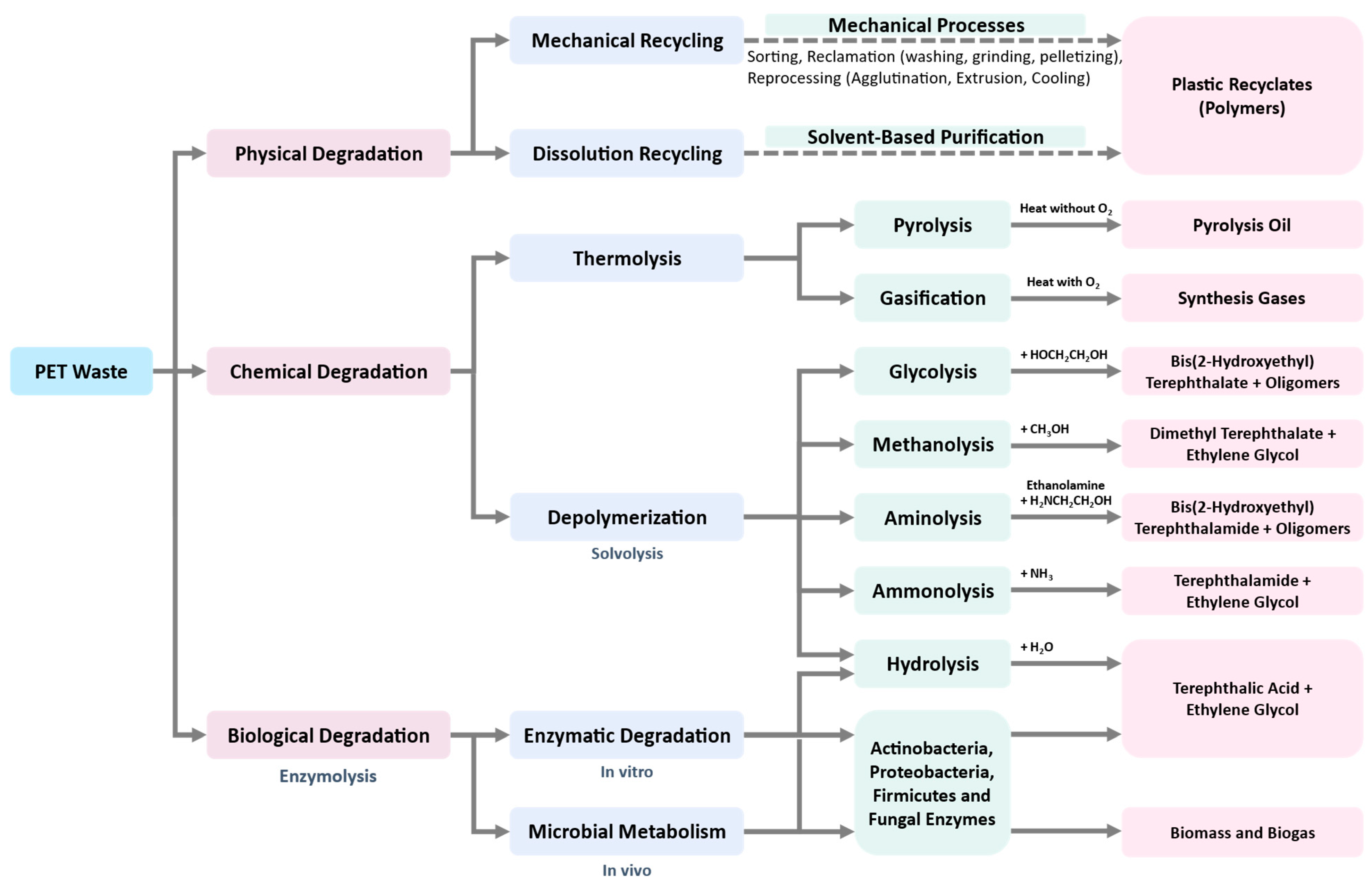 Bioengineering 09 00098 g003