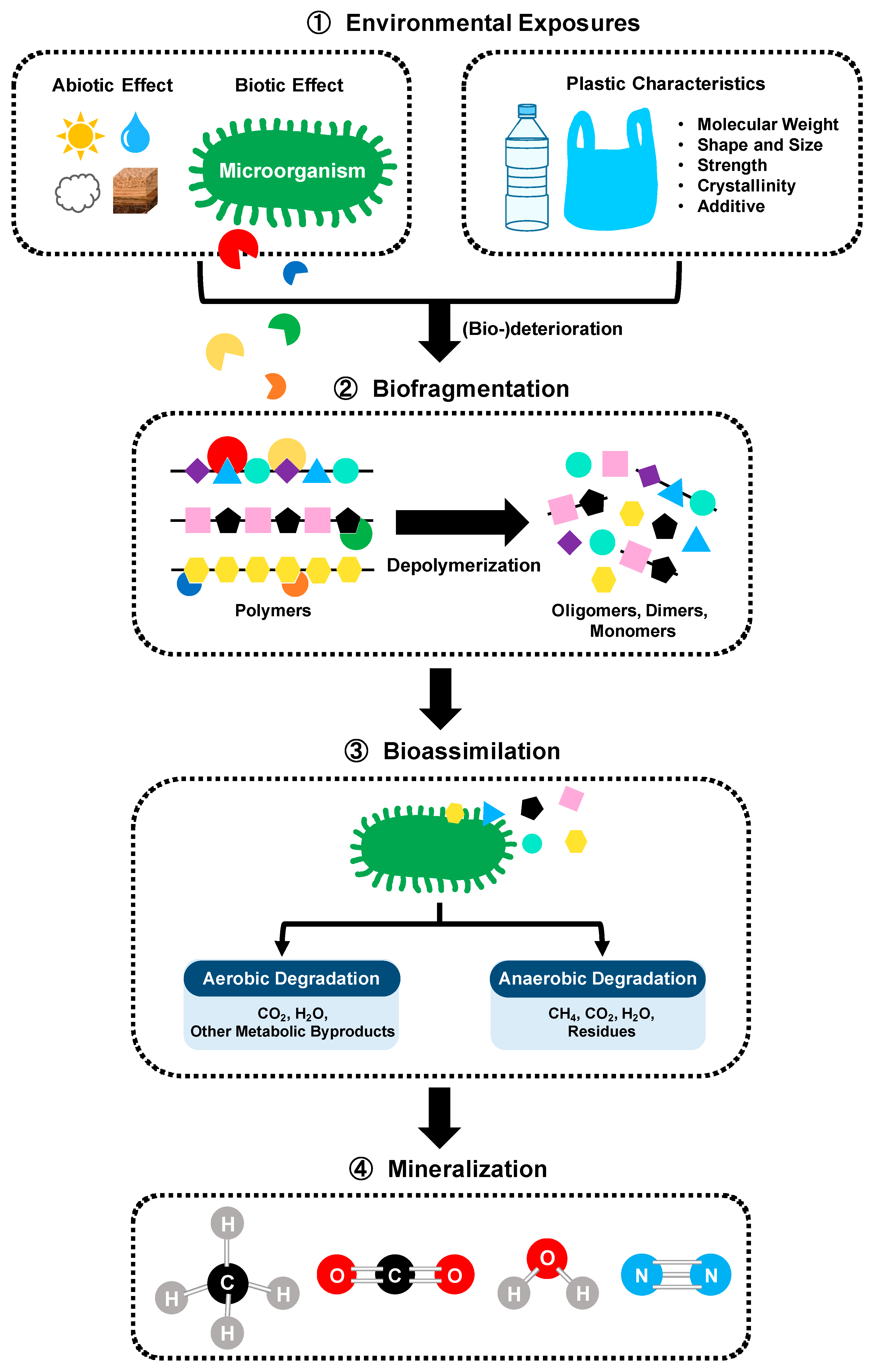 Bioengineering 09 00098 g004