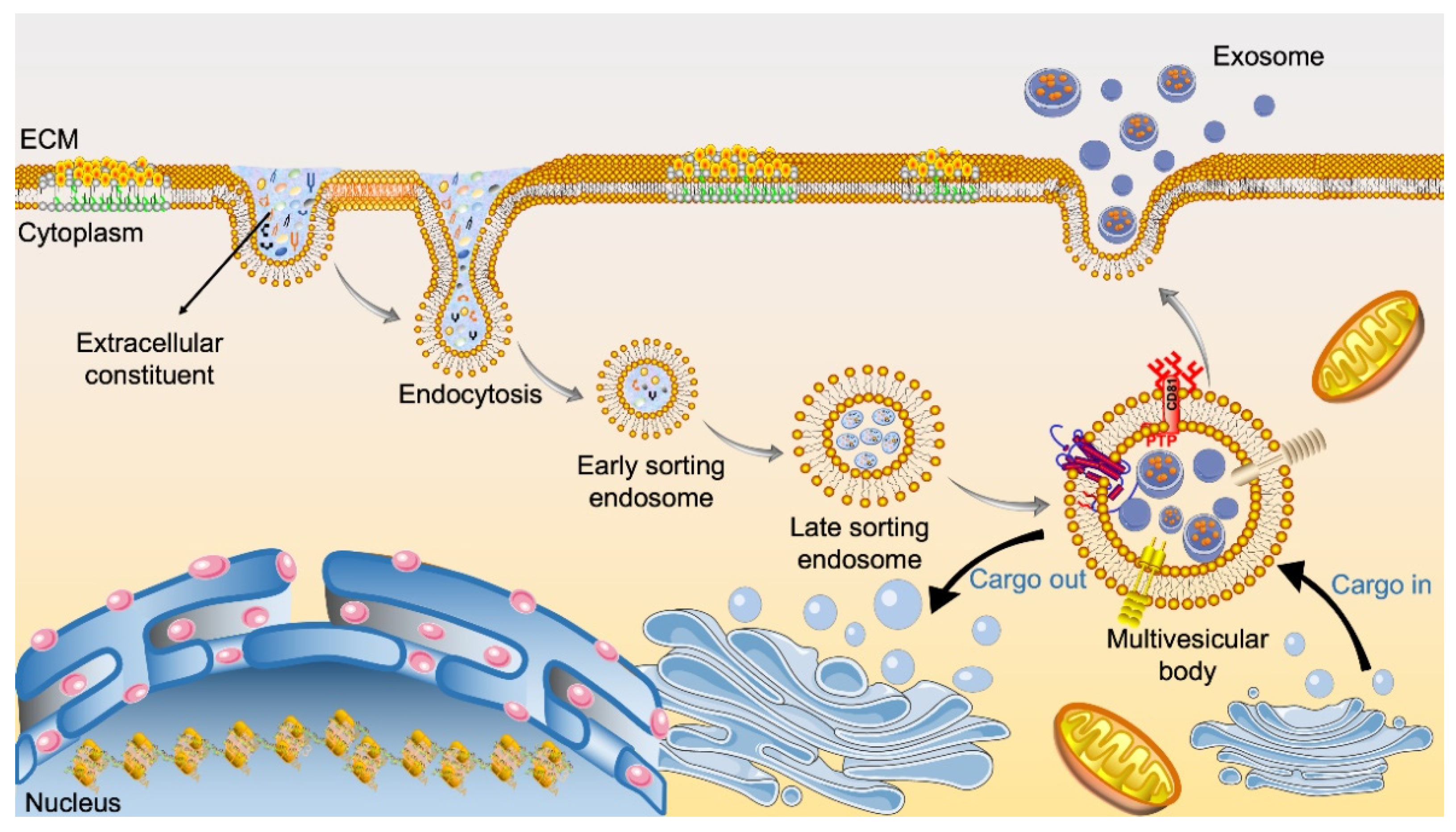 Bioengineering 09 00099 g002