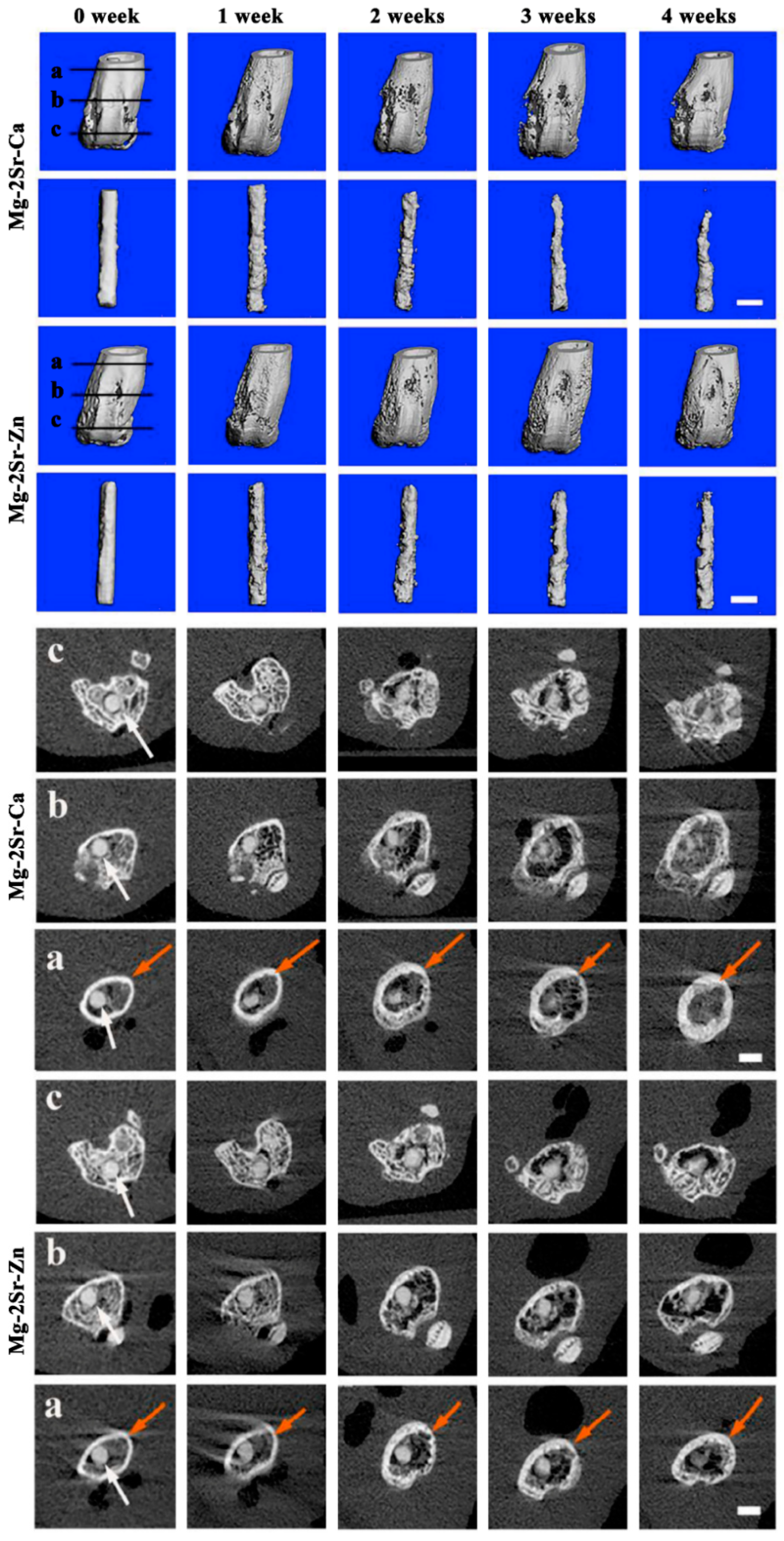 Bioengineering 09 00107 g001