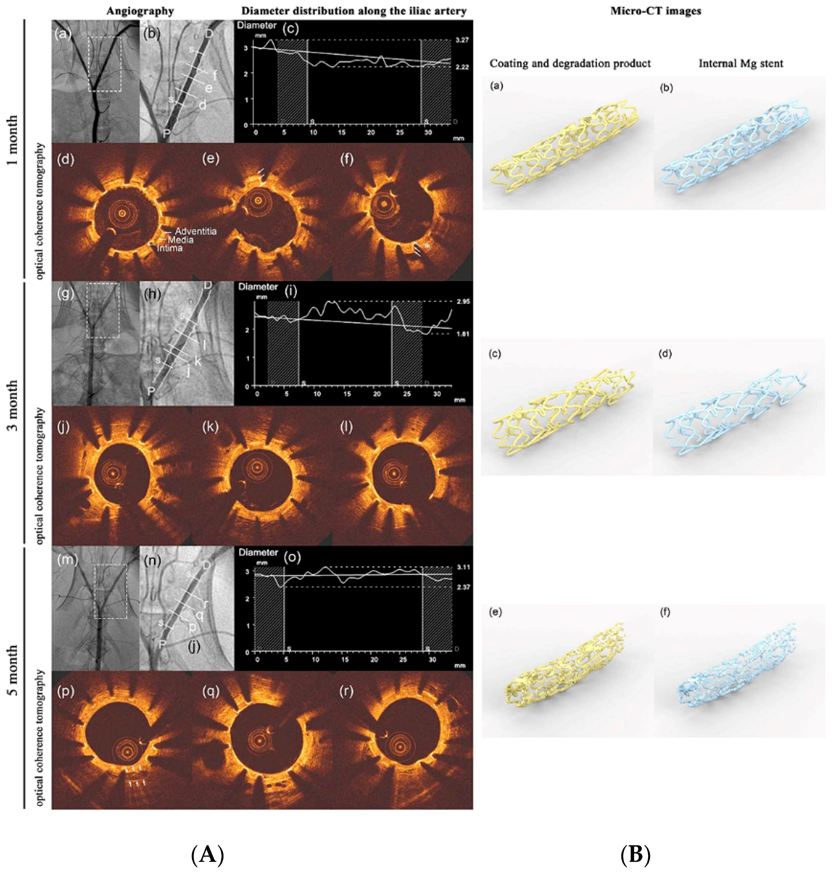 Bioengineering 09 00107 g002