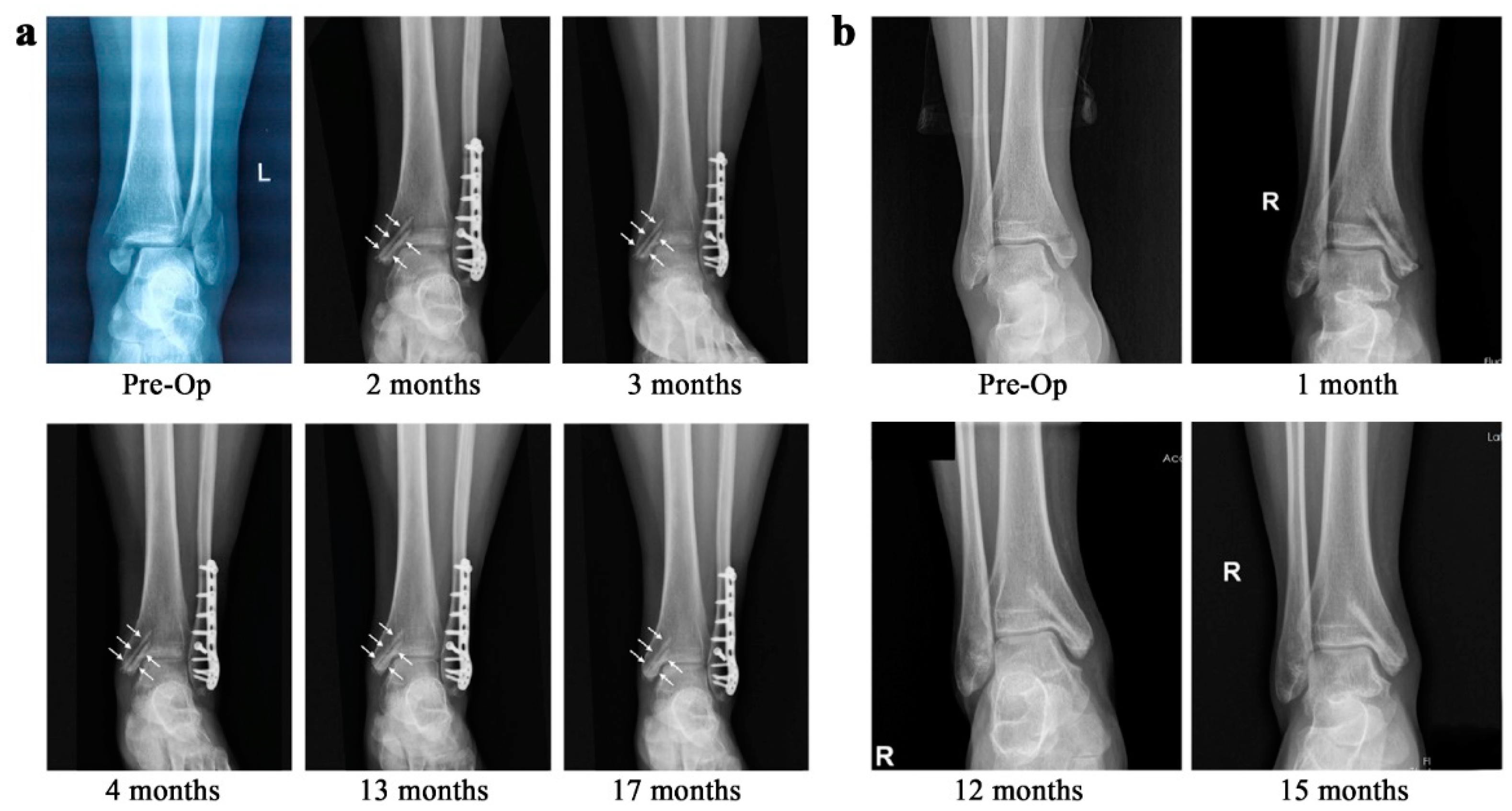 Bioengineering 09 00107 g003