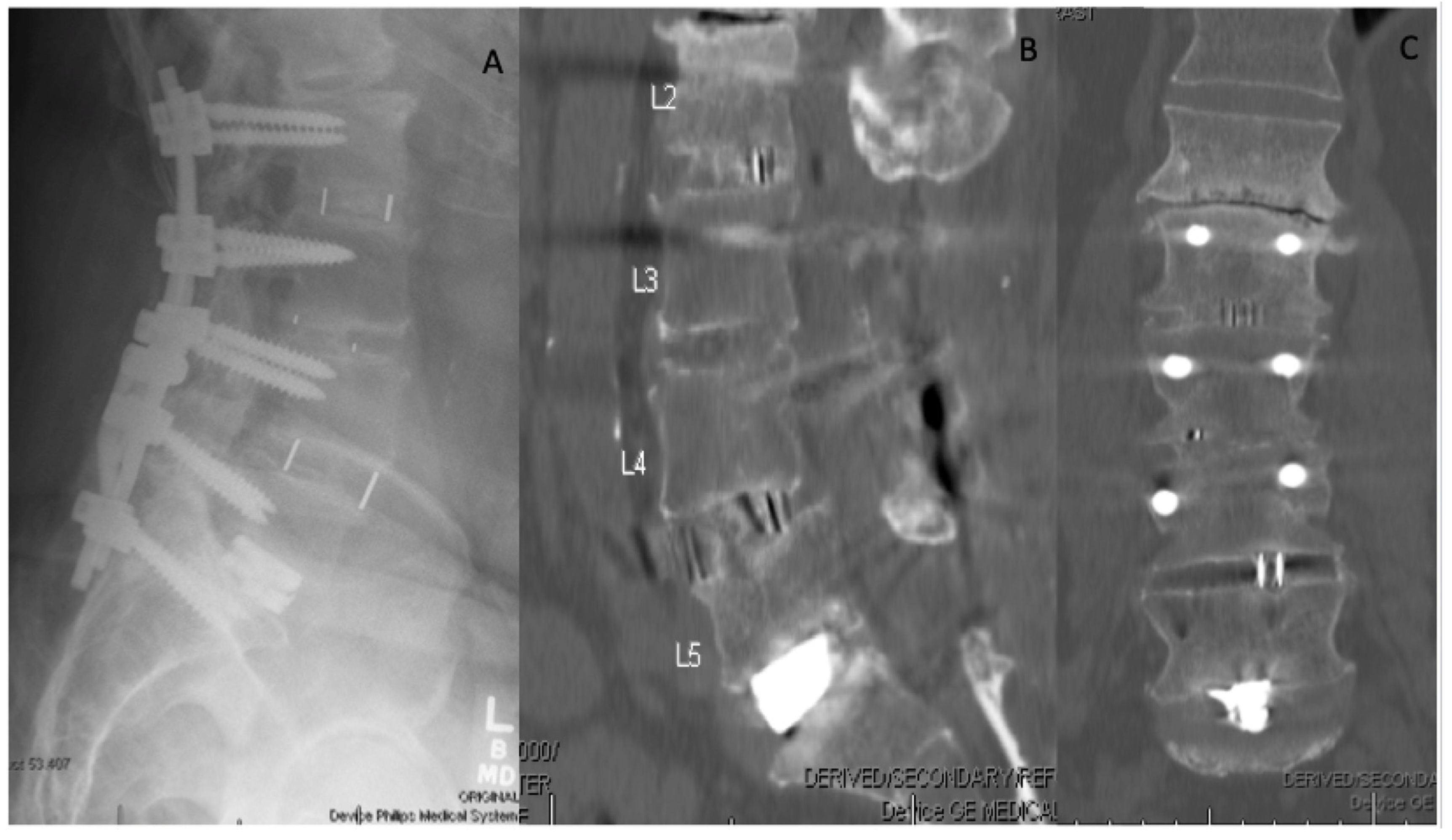 Bioengineering 09 00108 g001