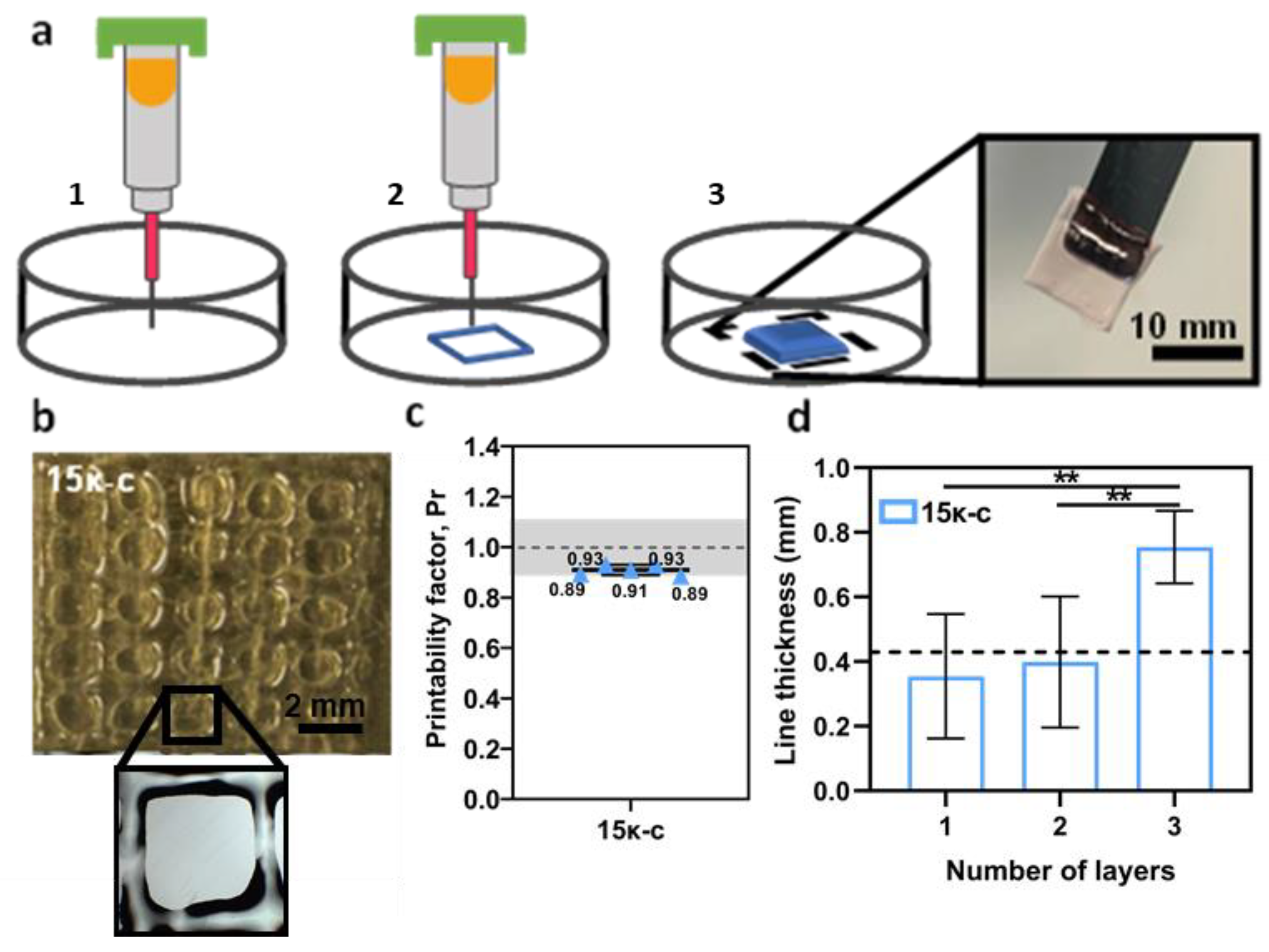 Bioengineering 09 00109 g003