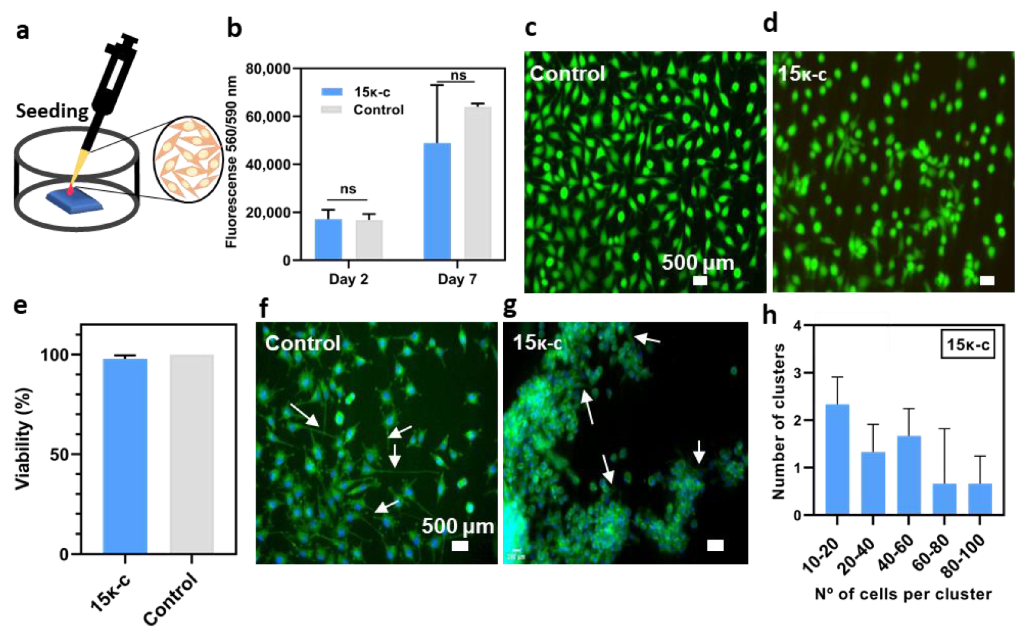 Bioengineering 09 00109 g004