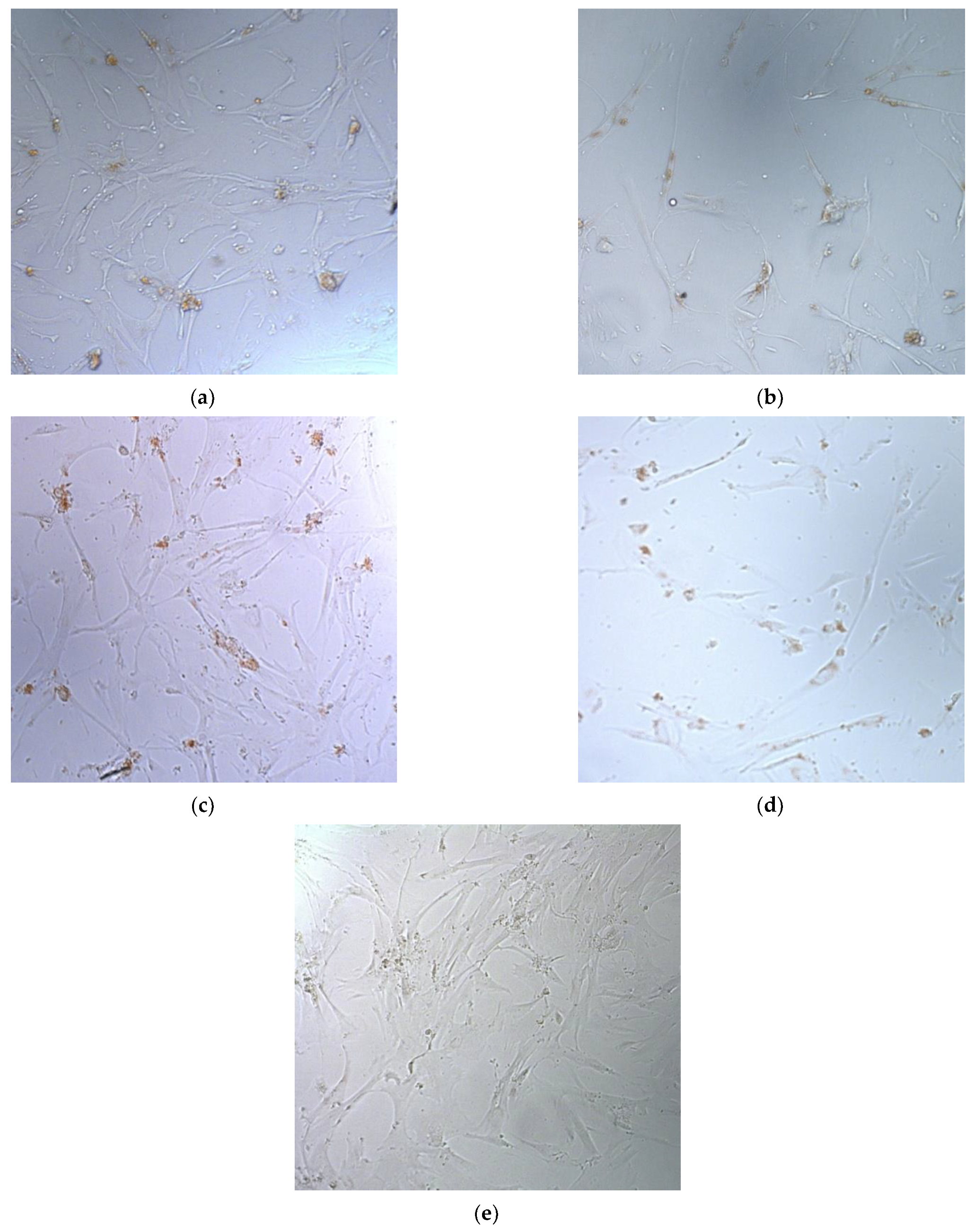 Bioengineering 09 00112 g009