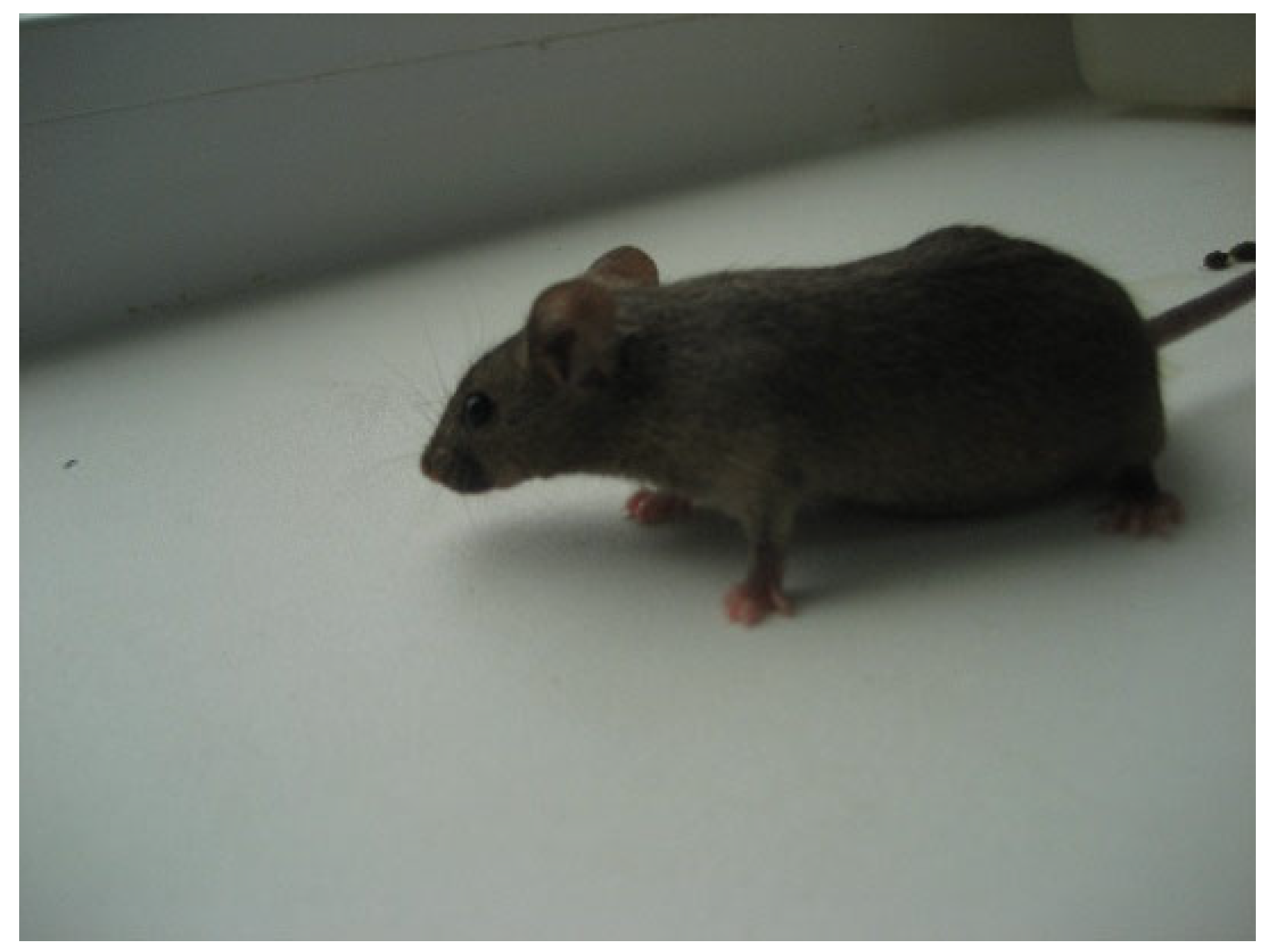 Bioengineering 09 00113 g002