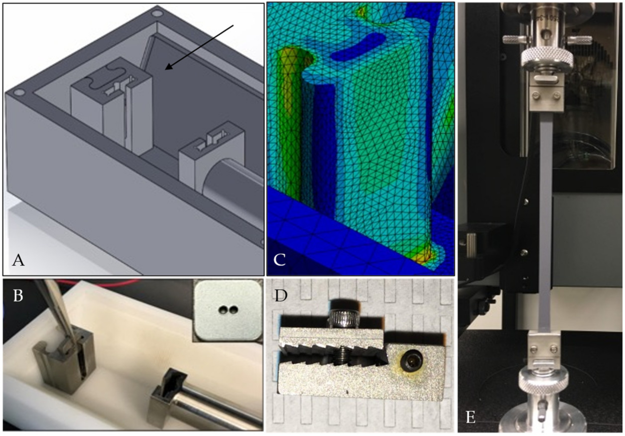 Bioengineering 09 00127 g004