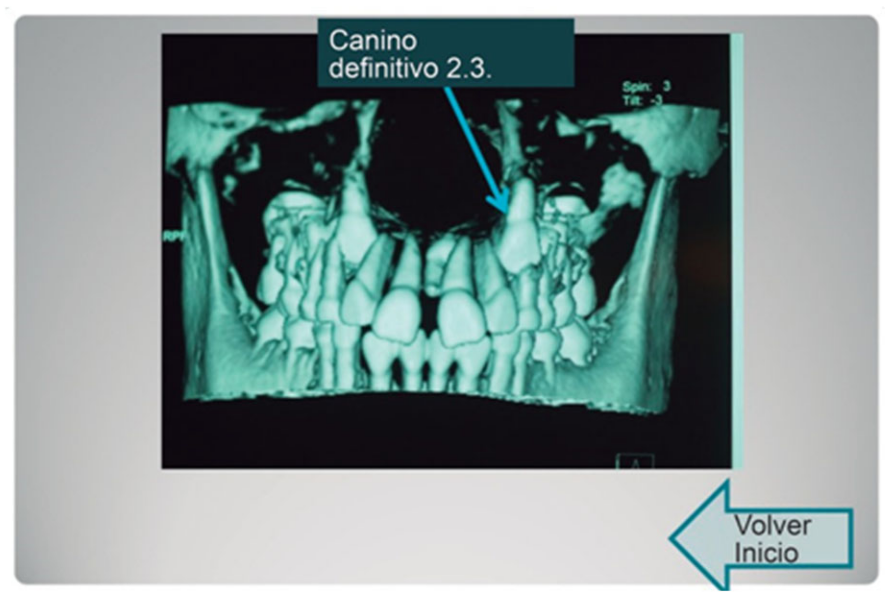 Bioengineering 09 00143 g001