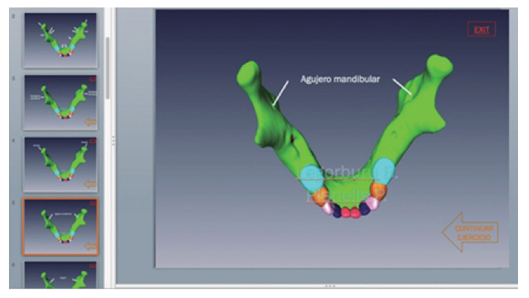 Bioengineering 09 00143 g002