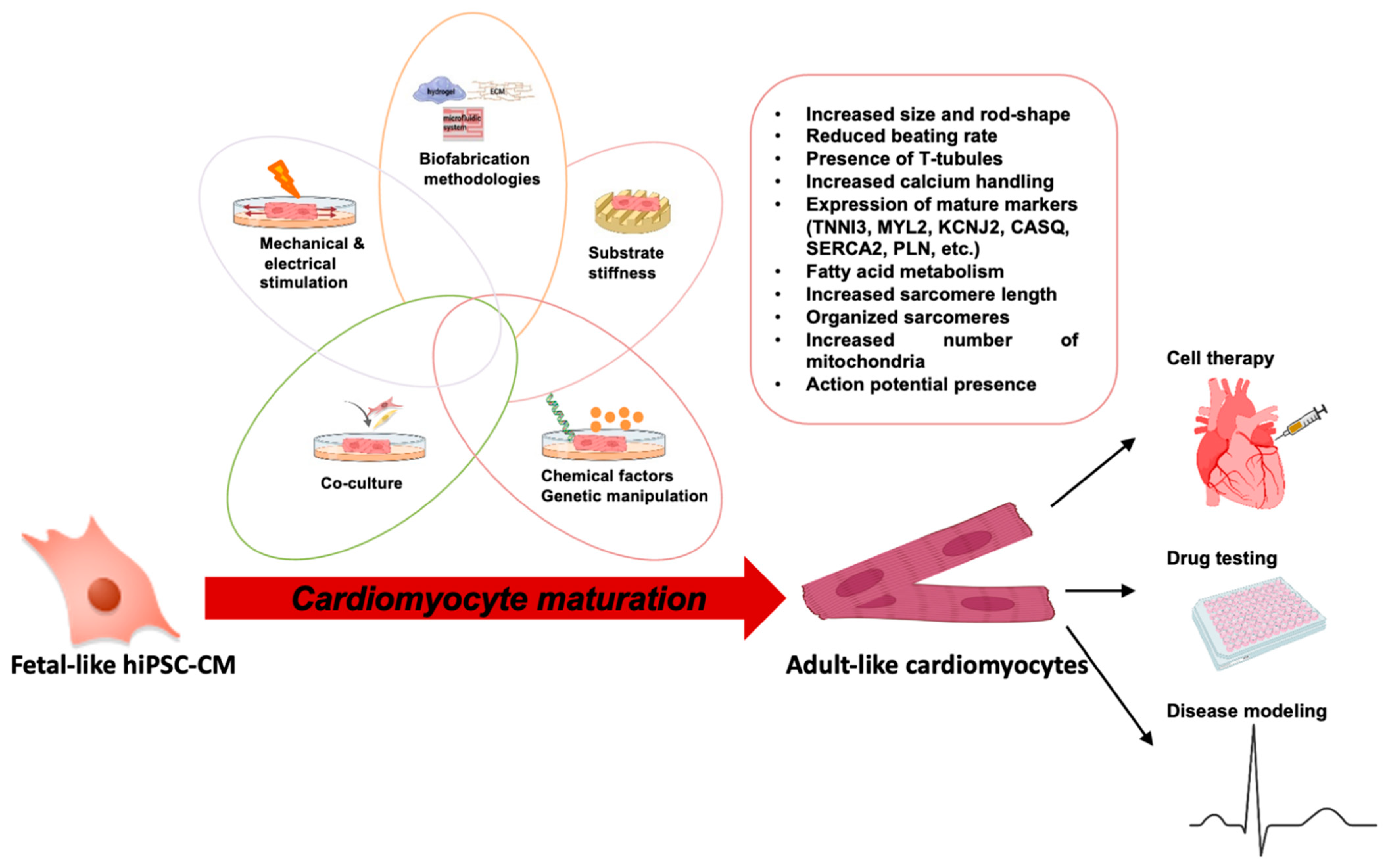 Bioengineering 09 00168 g002