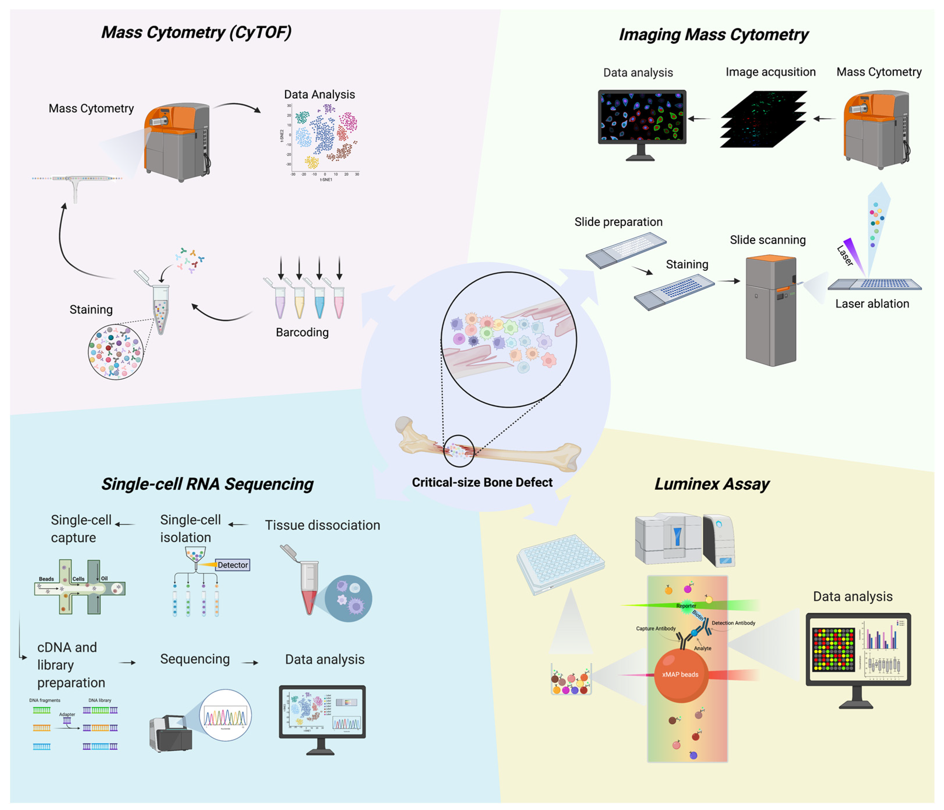 Bioengineering 09 00171 g001