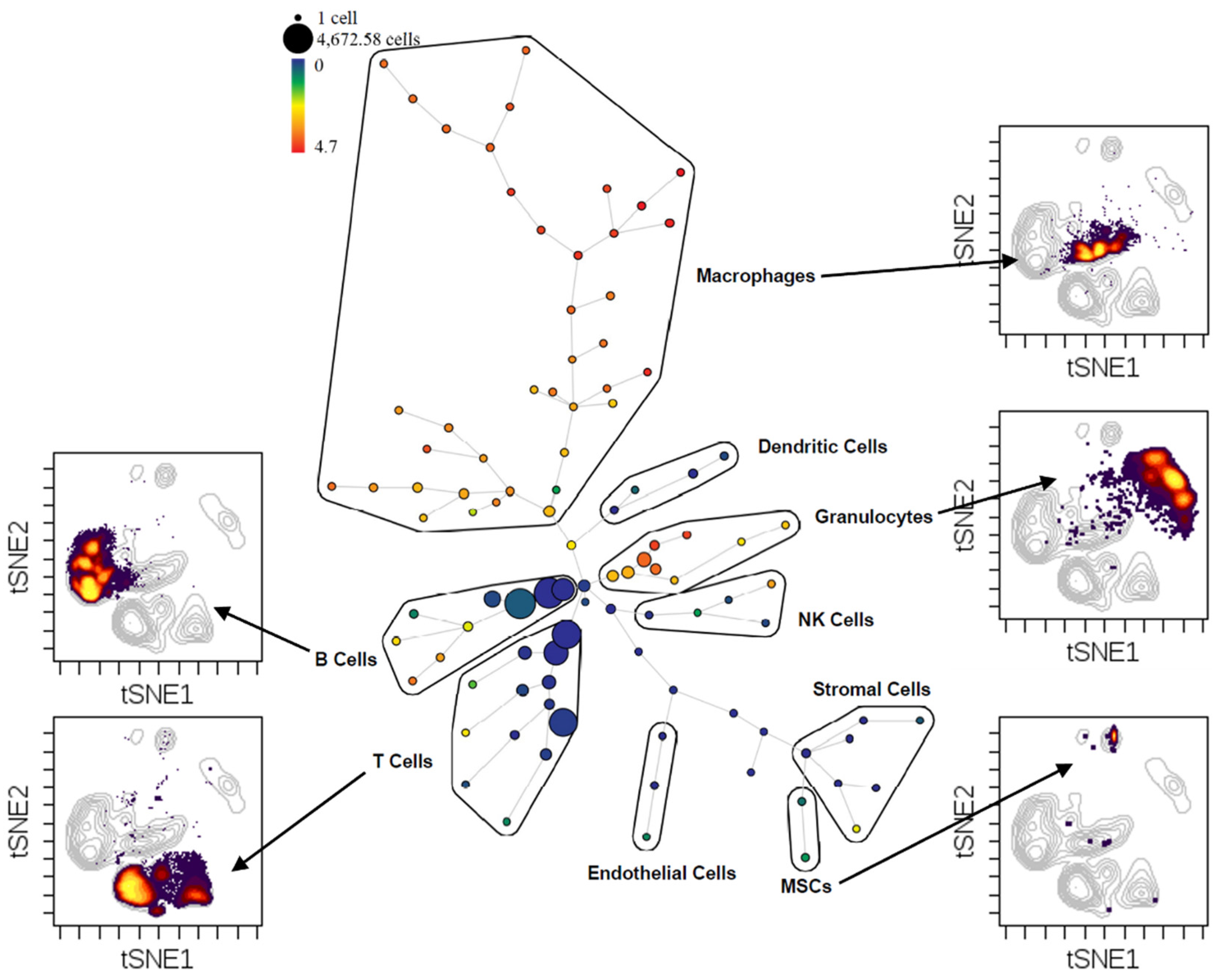 Bioengineering 09 00171 g002