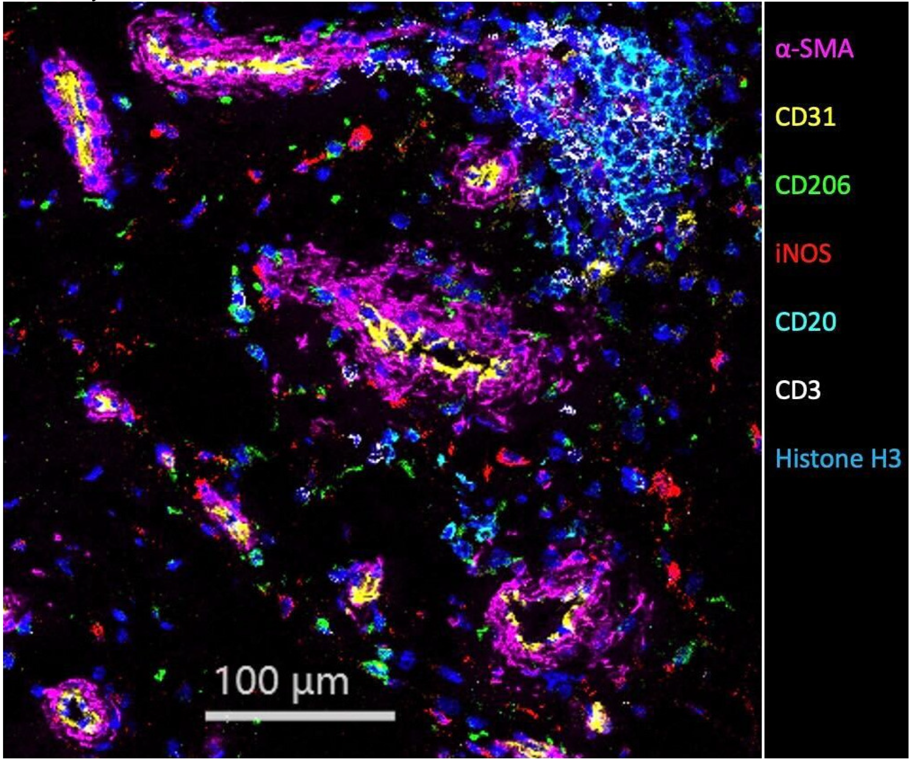 Bioengineering 09 00171 g003