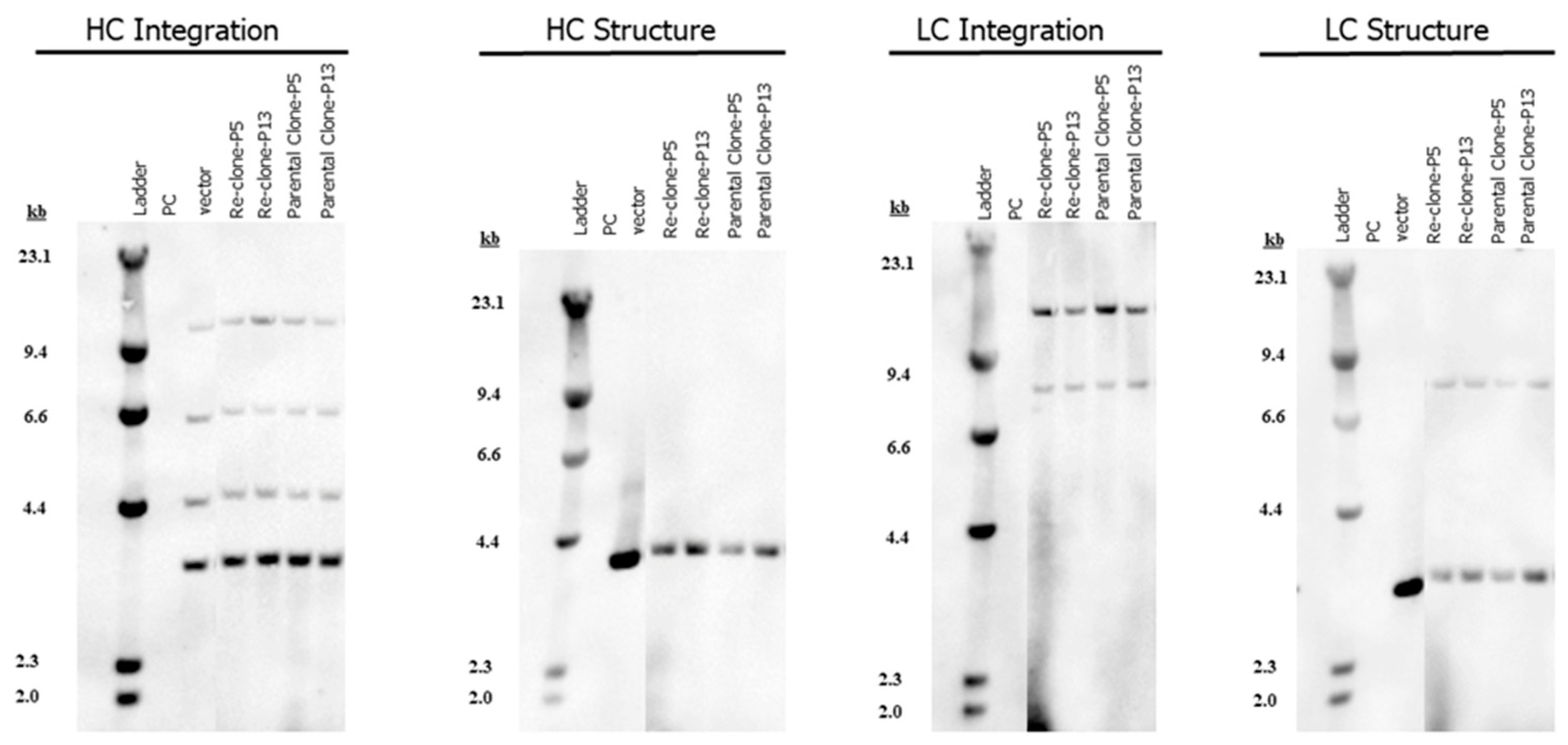 Bioengineering 09 00173 g005